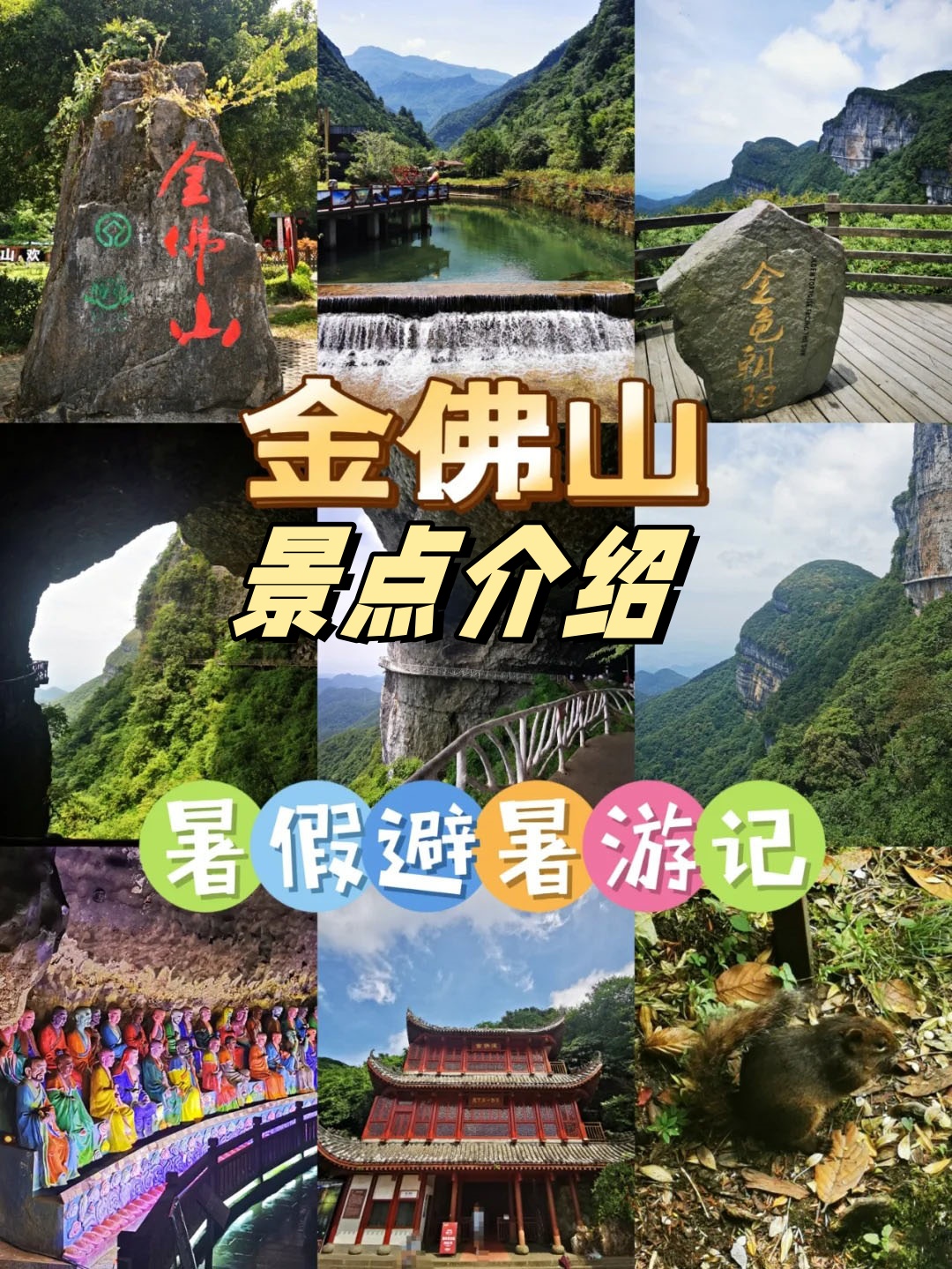 南川金佛山介绍图片