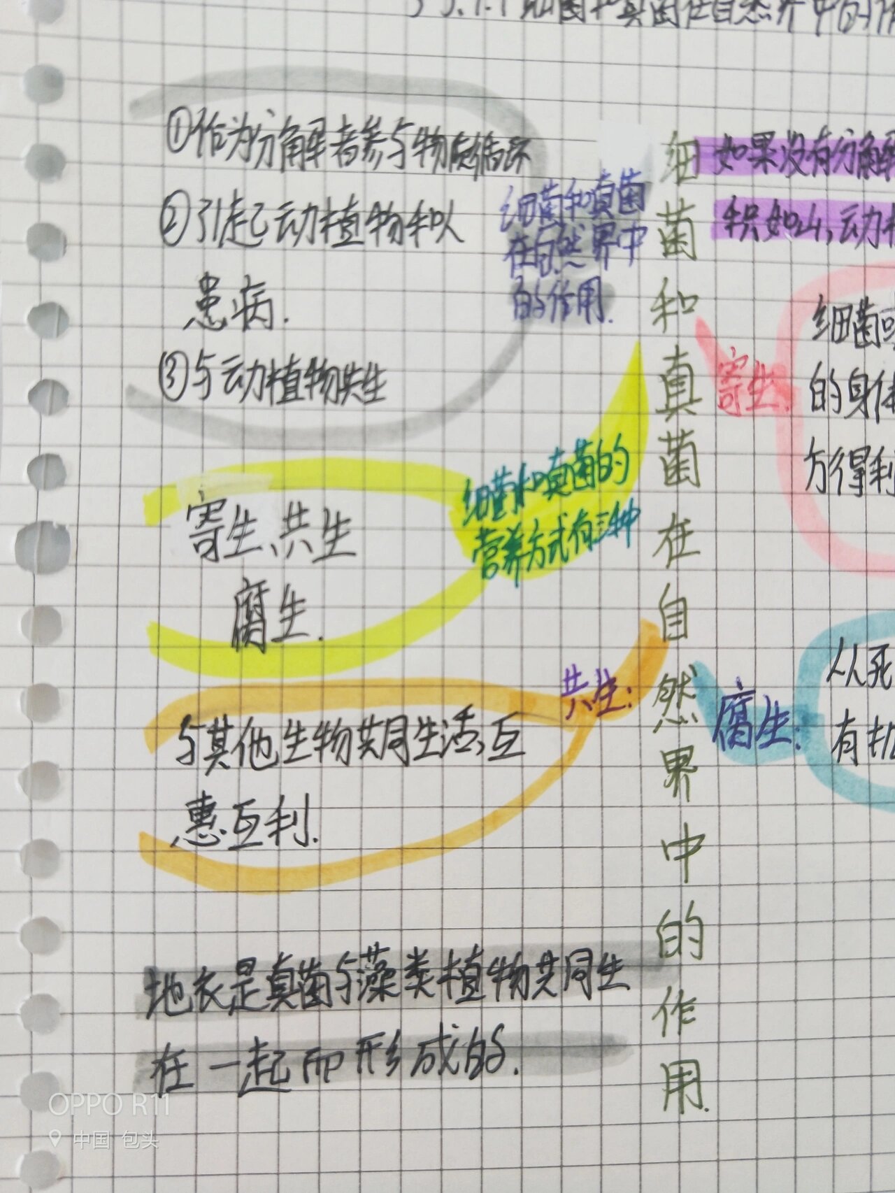 八年级上册生物第五单元第四章第四节细菌和真菌在自然界中的作用