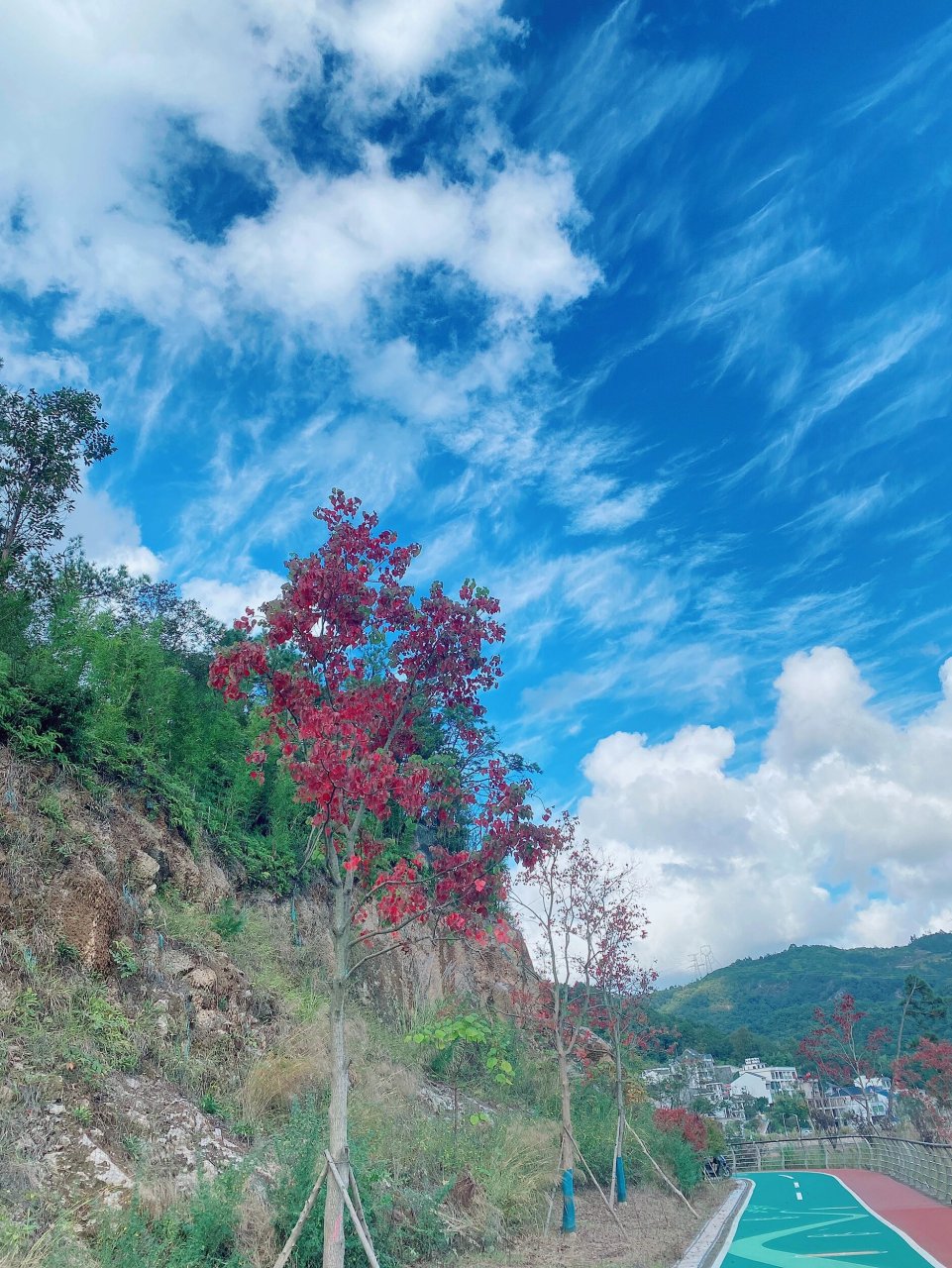 乐清白石钟前水库