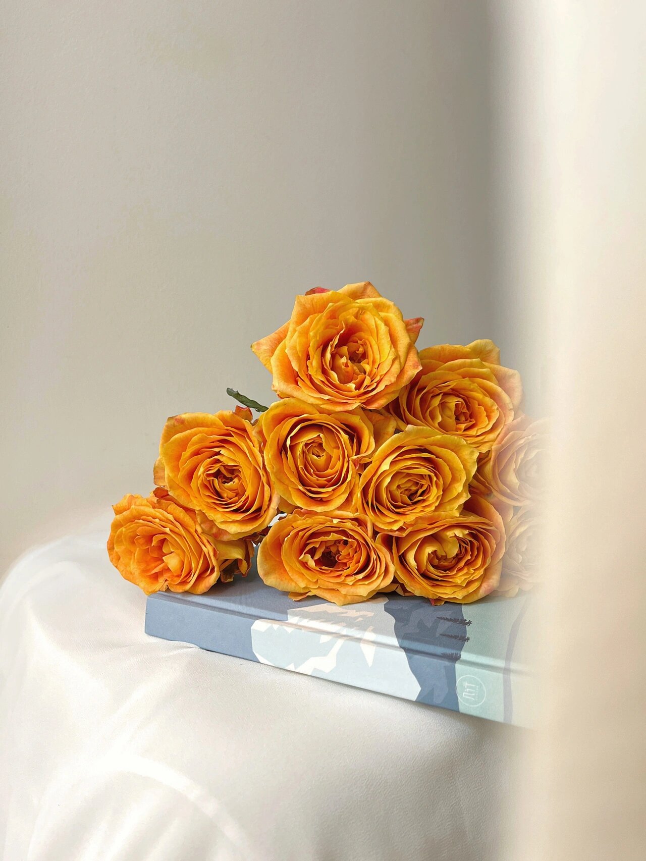 94鲜花中"爱马仕"欢乐颂玫瑰|附养护方法6015 94欢乐颂玫瑰