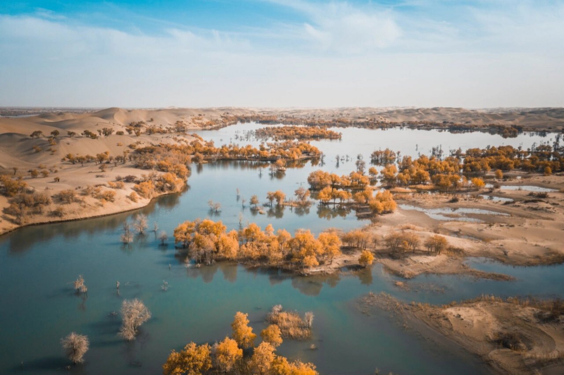 新疆小众|南疆尉犁县葫芦岛胡杨林最新攻略 南疆的小众地葫芦岛,这里