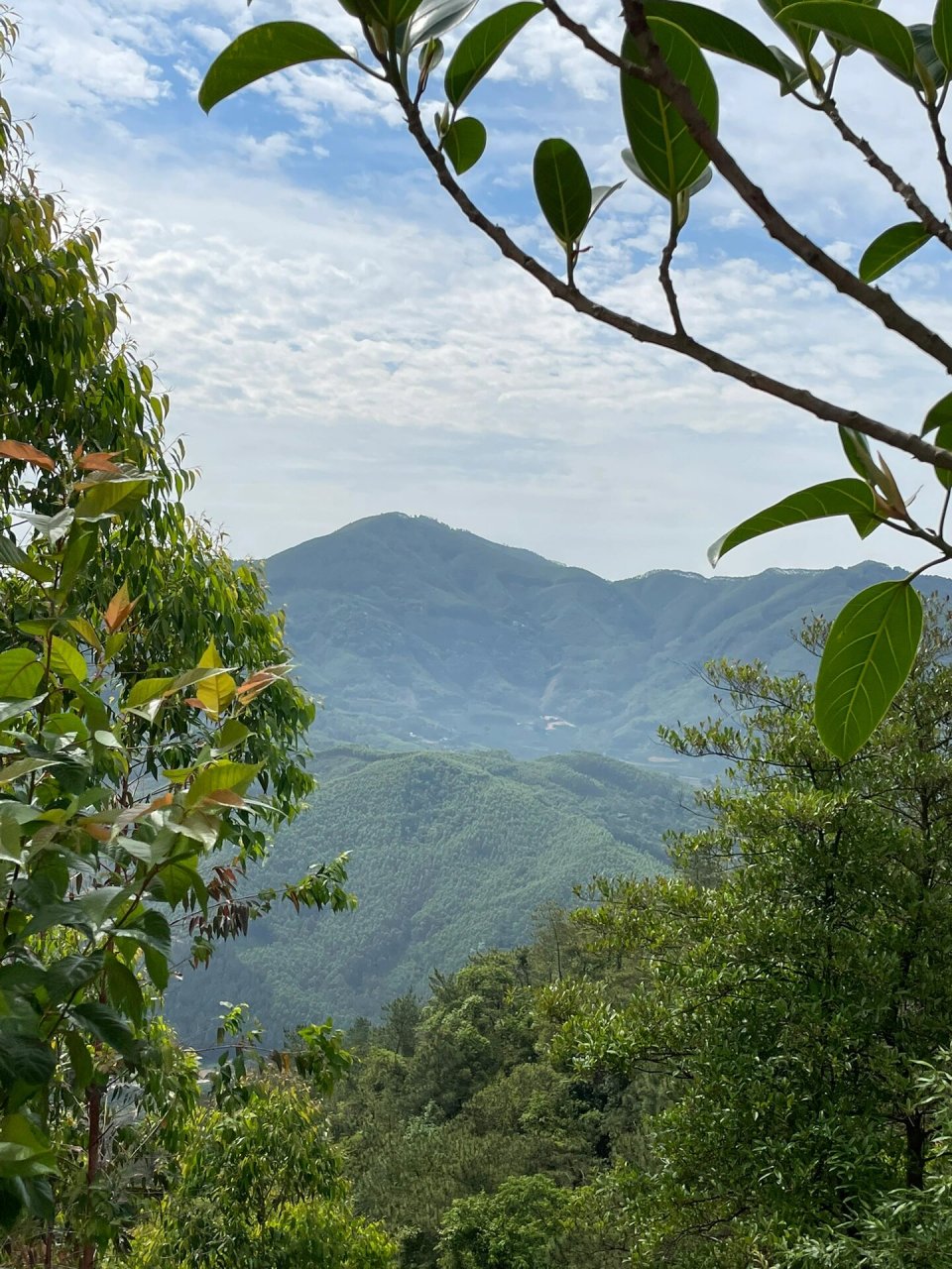 「车本村」探寻红色记忆 车本村是福建漳州漳浦县石榴镇的一个村落