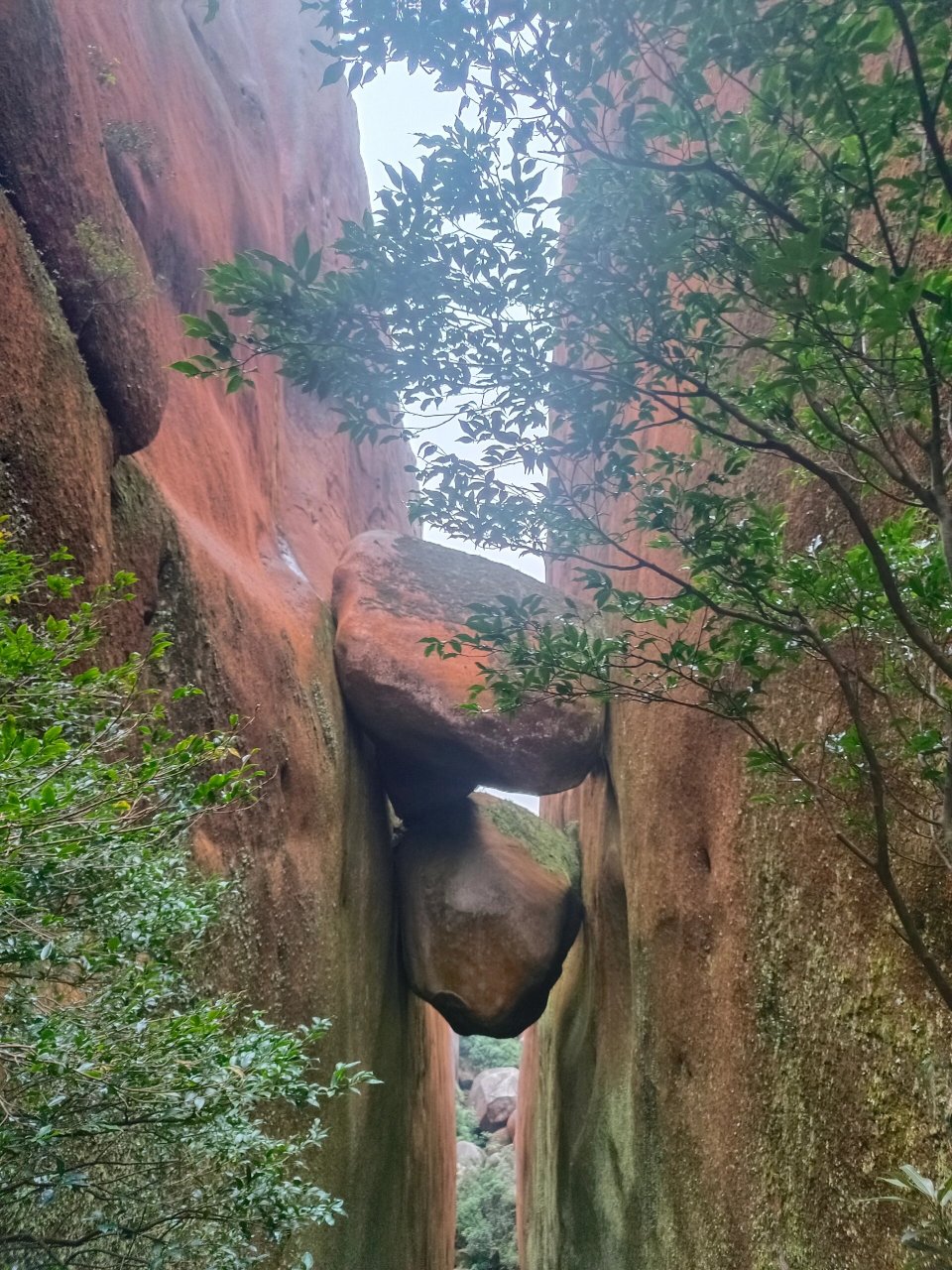 爬乌山图片