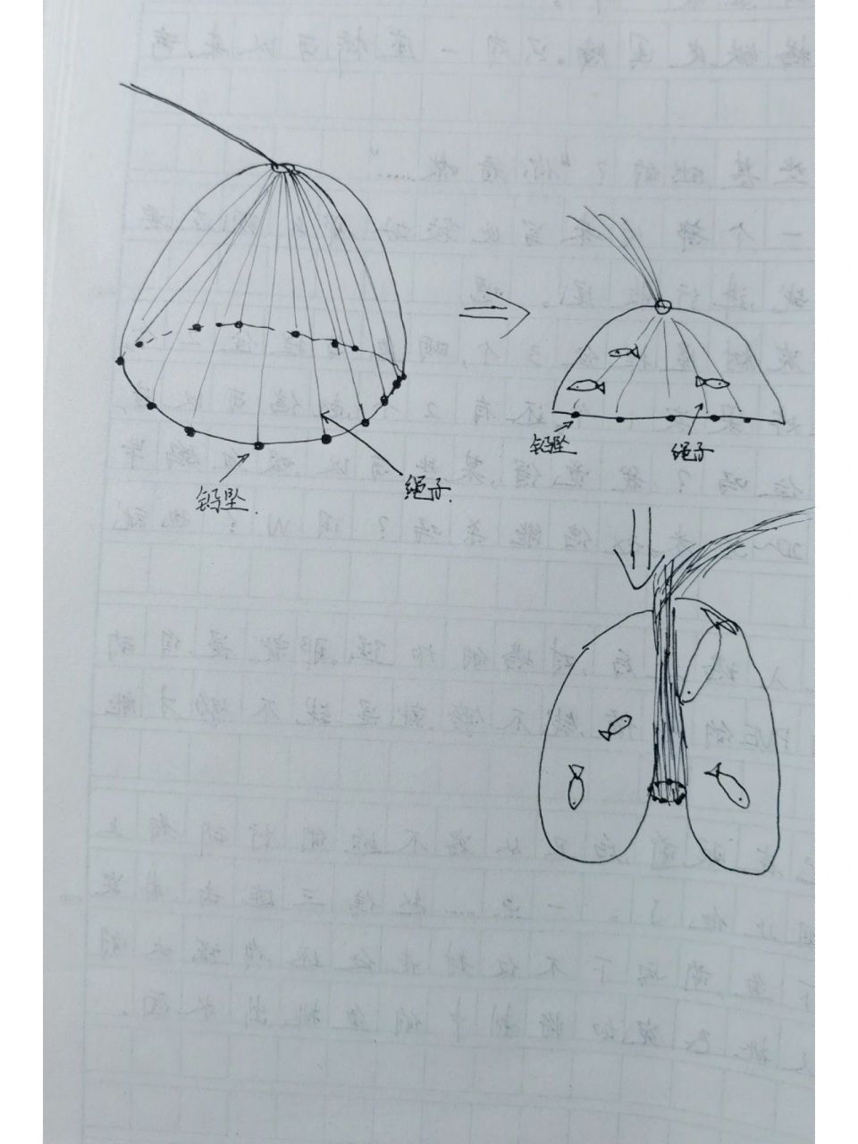 撒网的原理动画原理图片