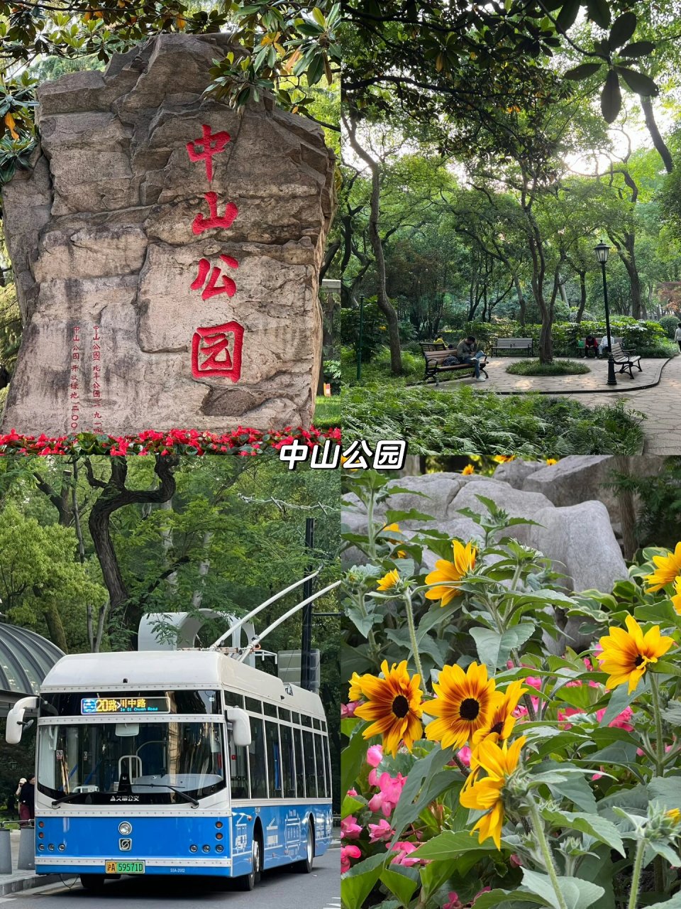 欢迎补充 76共青森林公园 99 杨浦区军工路2000号 97 共青森林