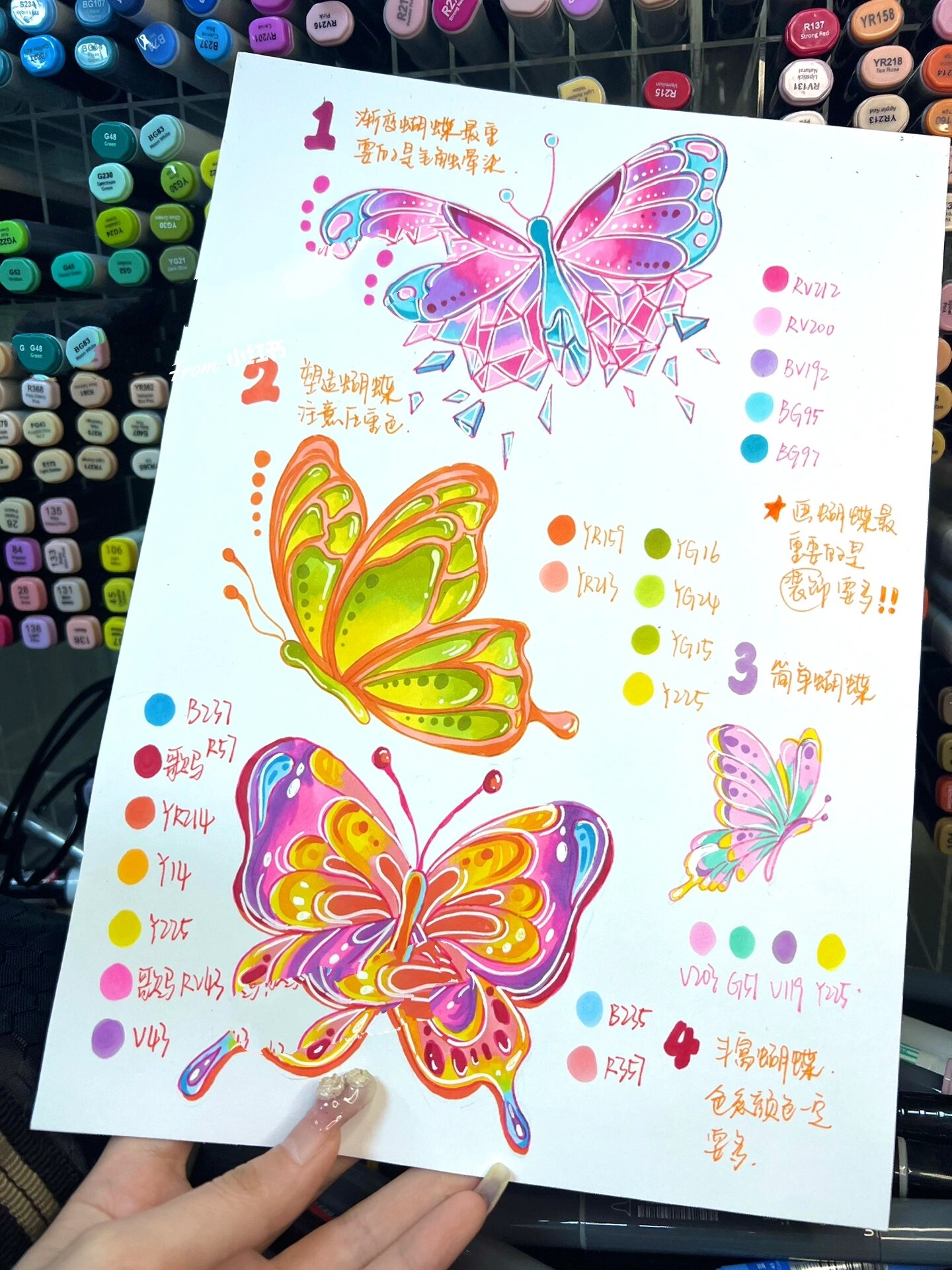 万能手绘元素之马克笔蝴蝶上色 附带线稿