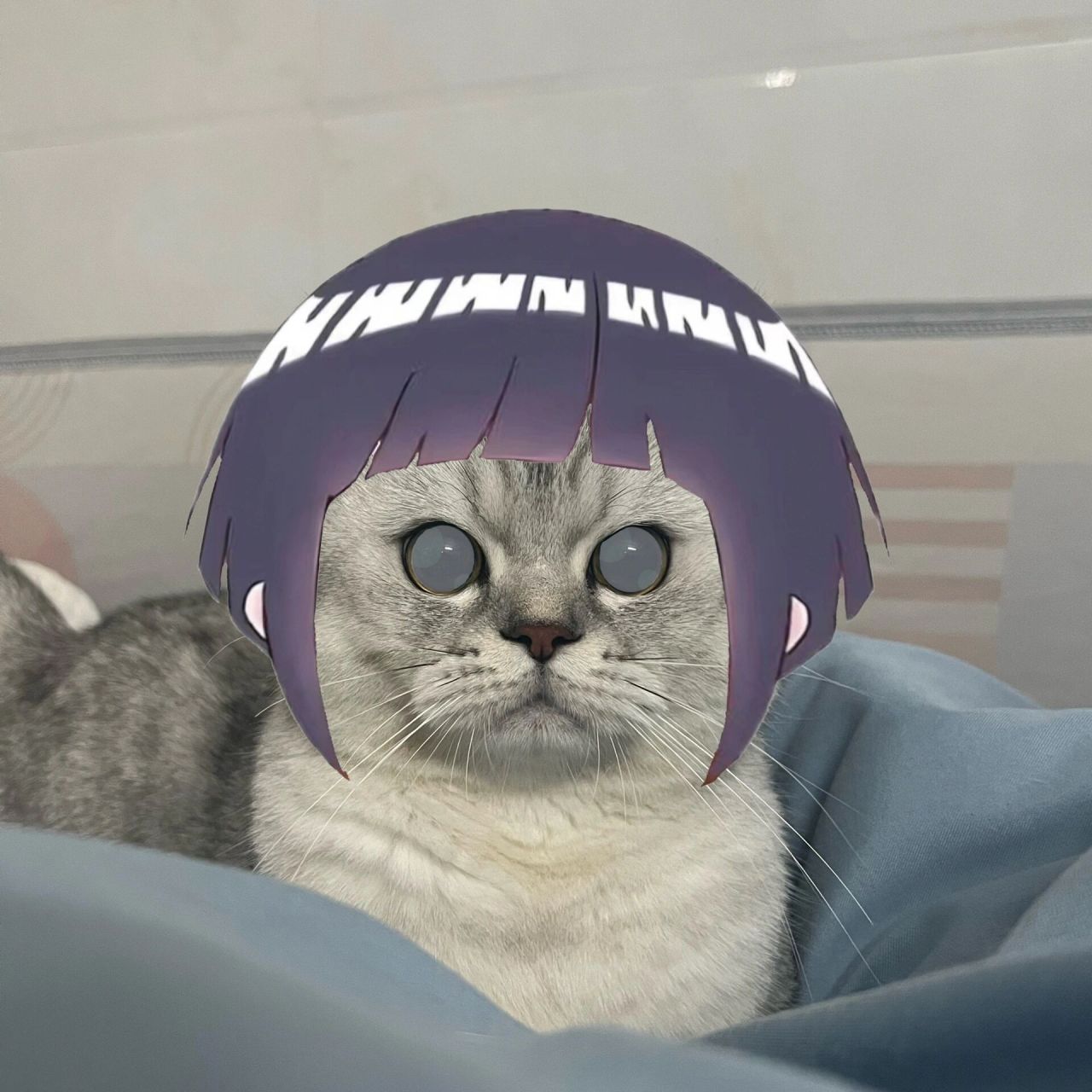 猫咪版火影忍者