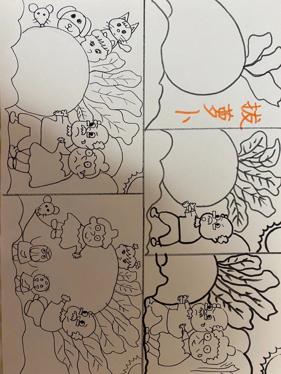 拔萝卜简笔画 插图 看图讲故事 连环画 一年级拔萝卜连环画,可以直接
