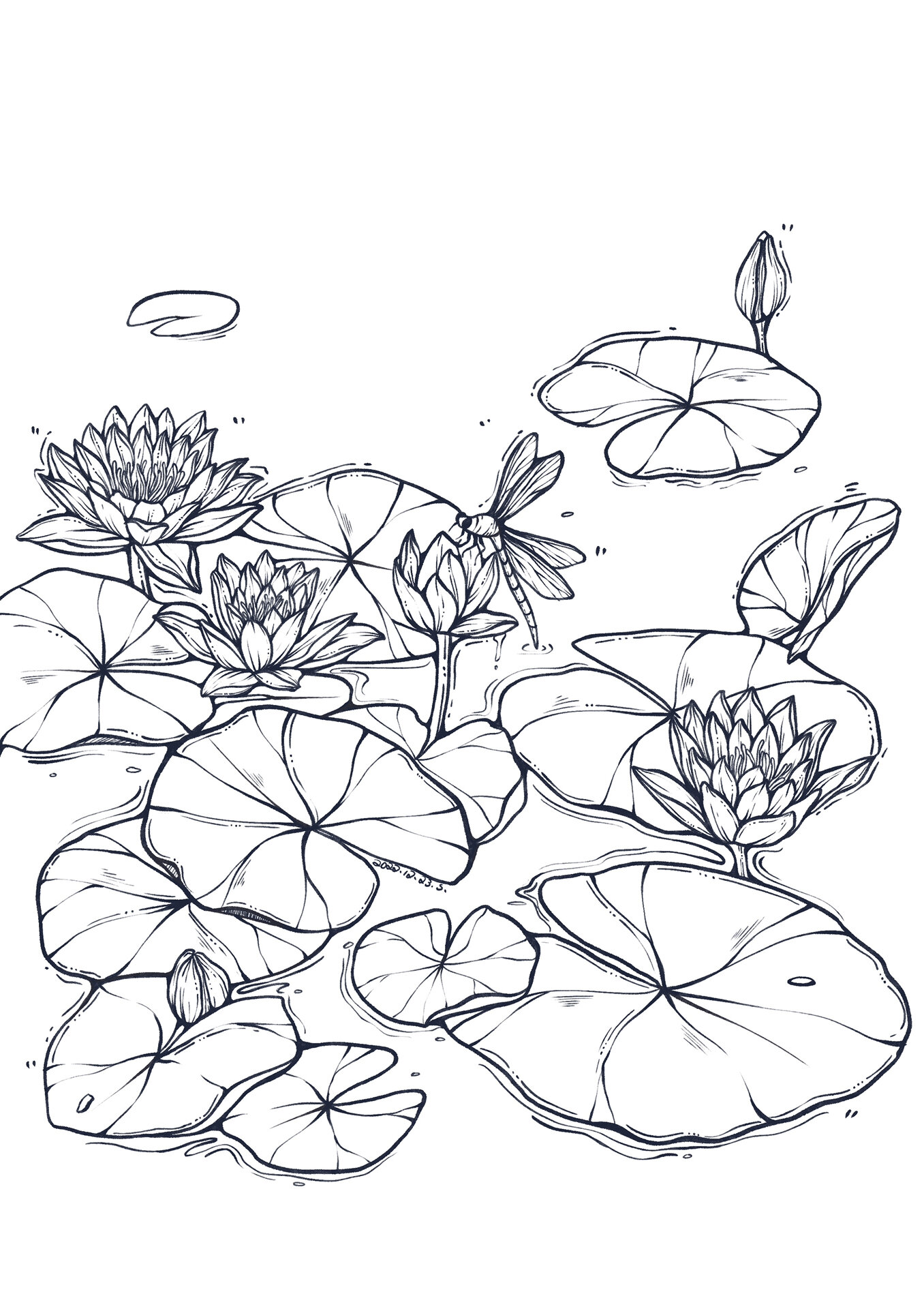 今日绘画:睡莲 工具:procreate 笔刷:听盒