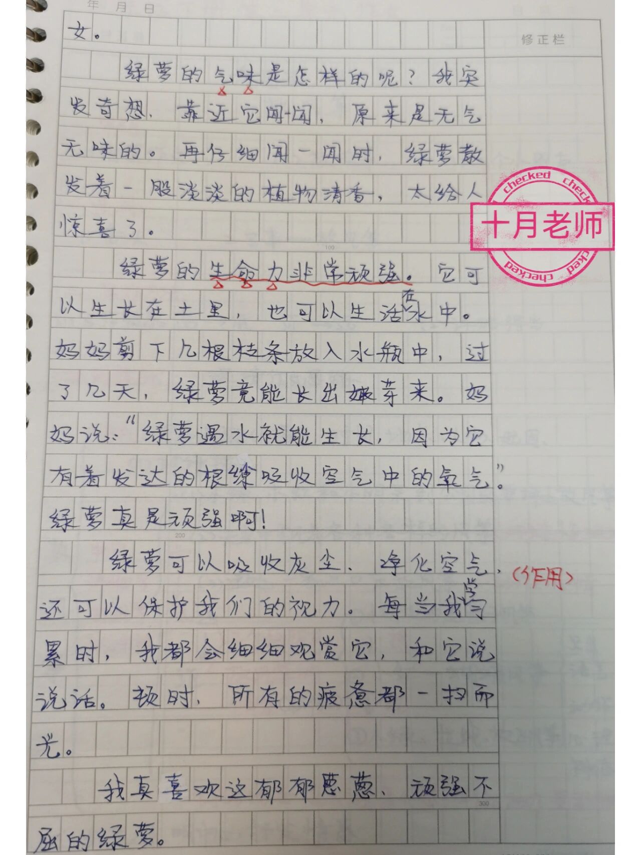 绿萝的作文满分图片