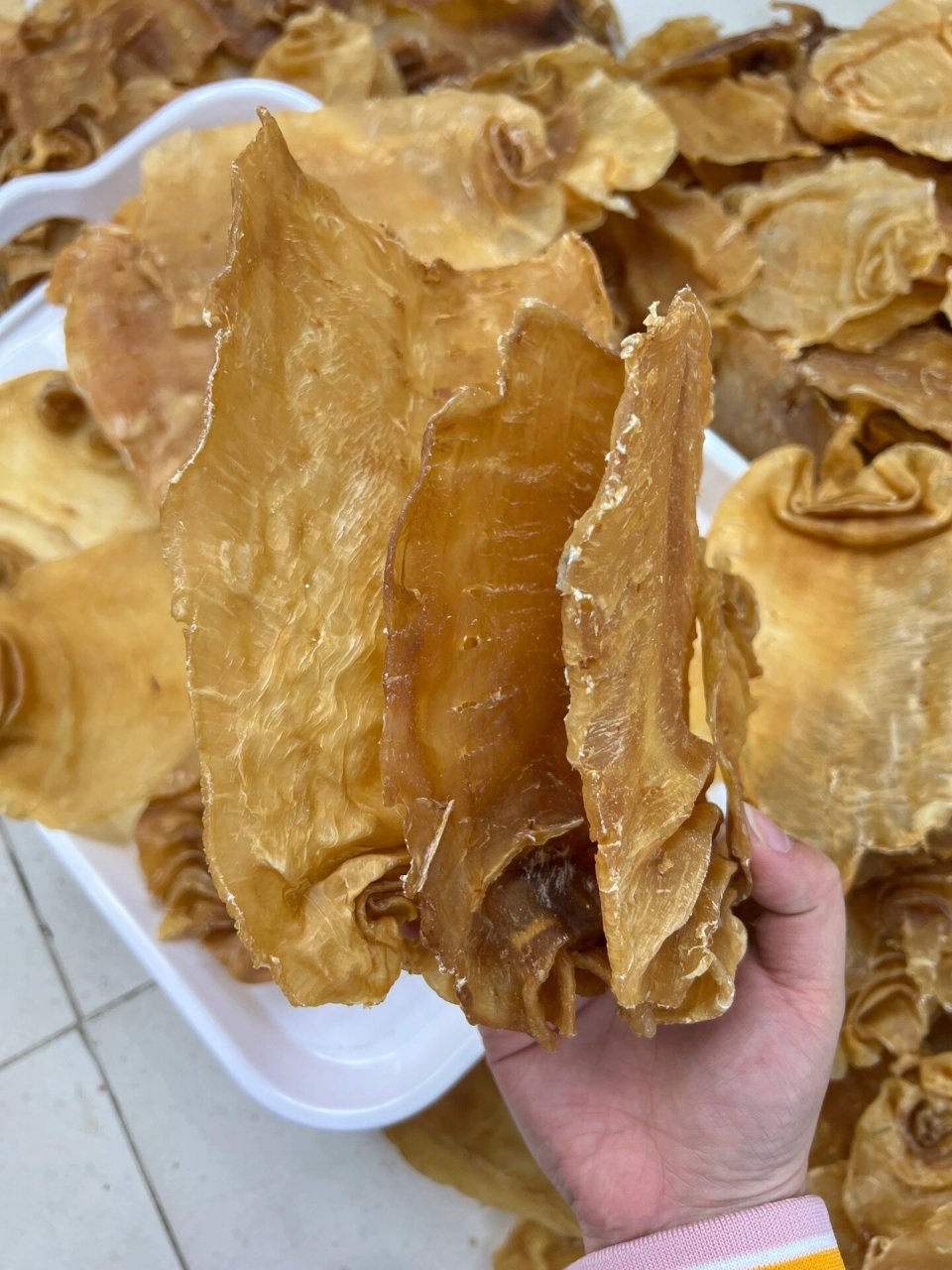 肉质紧实,胶质属于上乘,有两排出水孔,和传统的赤嘴鳘鱼胶口感相似