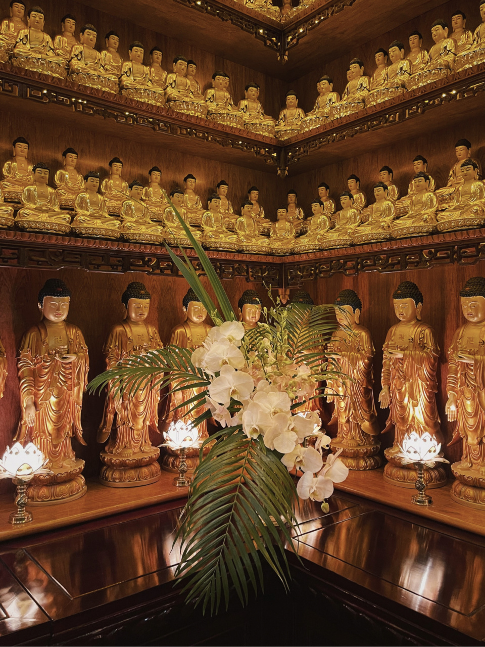 佛诞日佛前供花|予鲜花于佛前,当一日奉佛 "供花庄严,阿弥陀佛" .