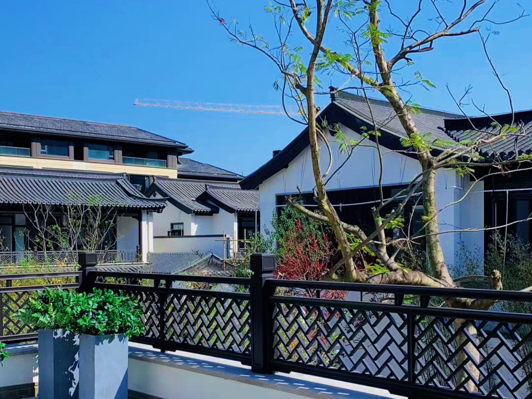 珠海|翠湖香山·留香苑-中式别墅93 留香苑c区样板间实景展示 欢迎