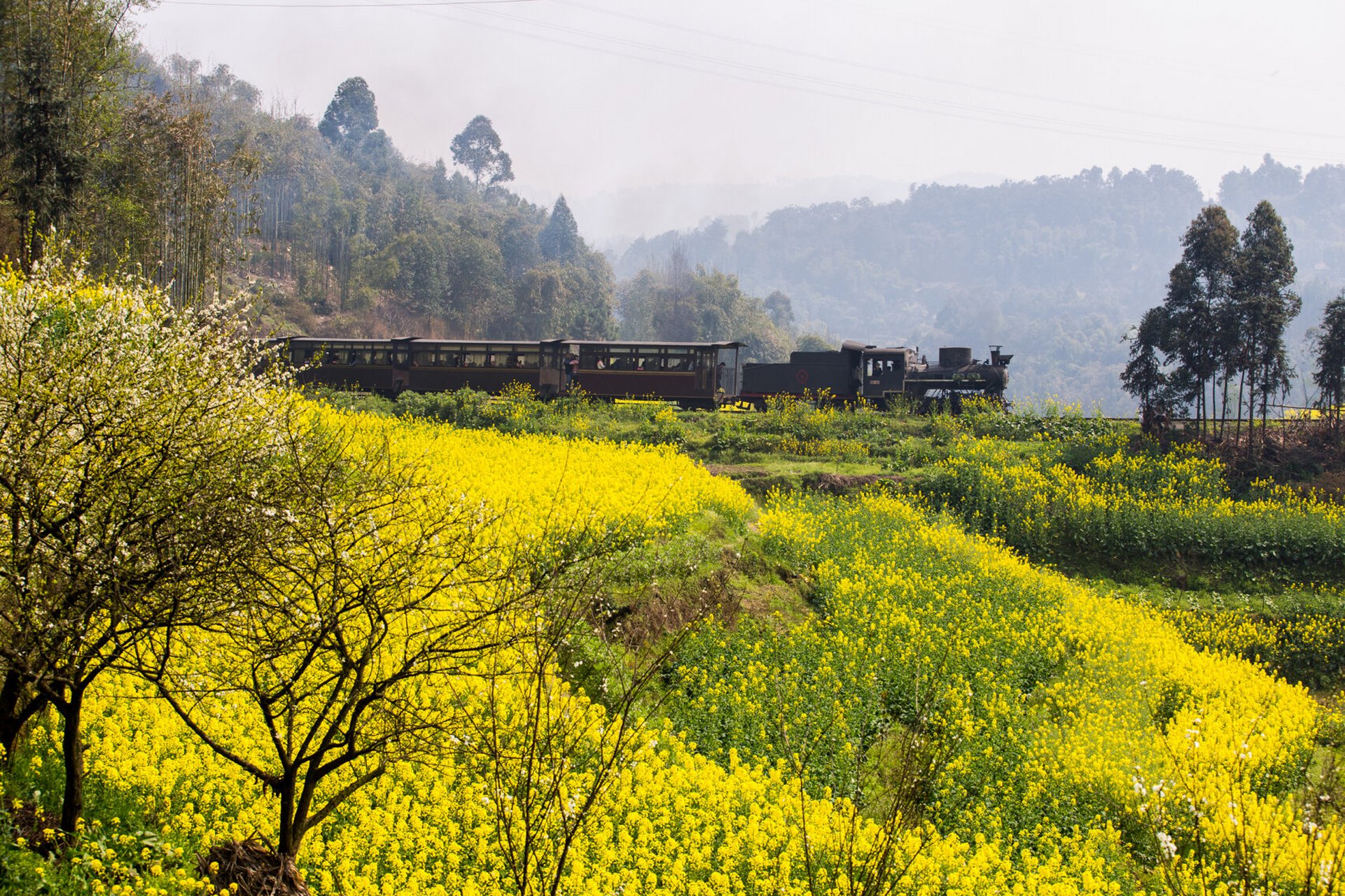 乐山犍为嘉阳小火车2022花季班次及票价 嘉阳小火车,运行在四川南部