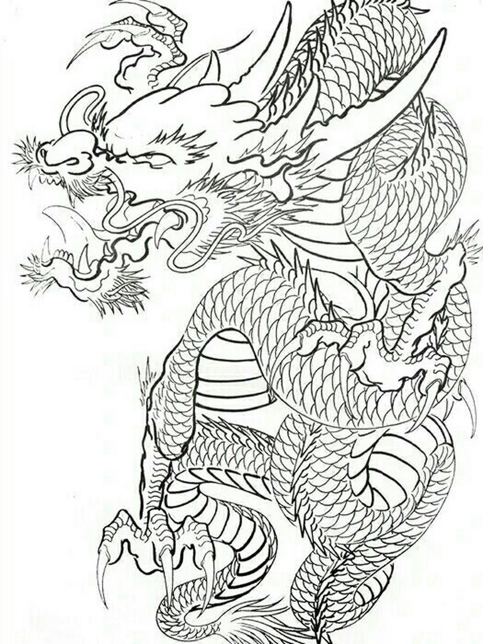 过肩龙纹身手稿 半胛
