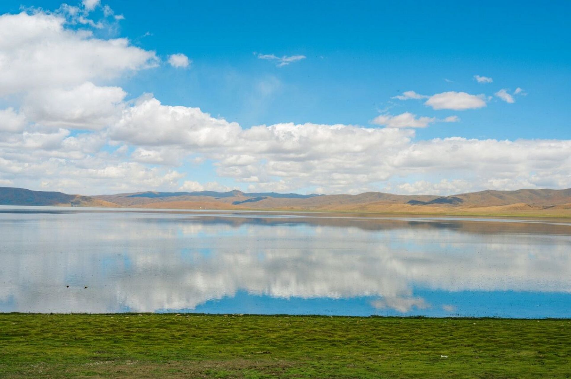 哲古草原 | 绿意盎然,山明水秀 哲古草原已经绿意盎然,山明水秀啦!