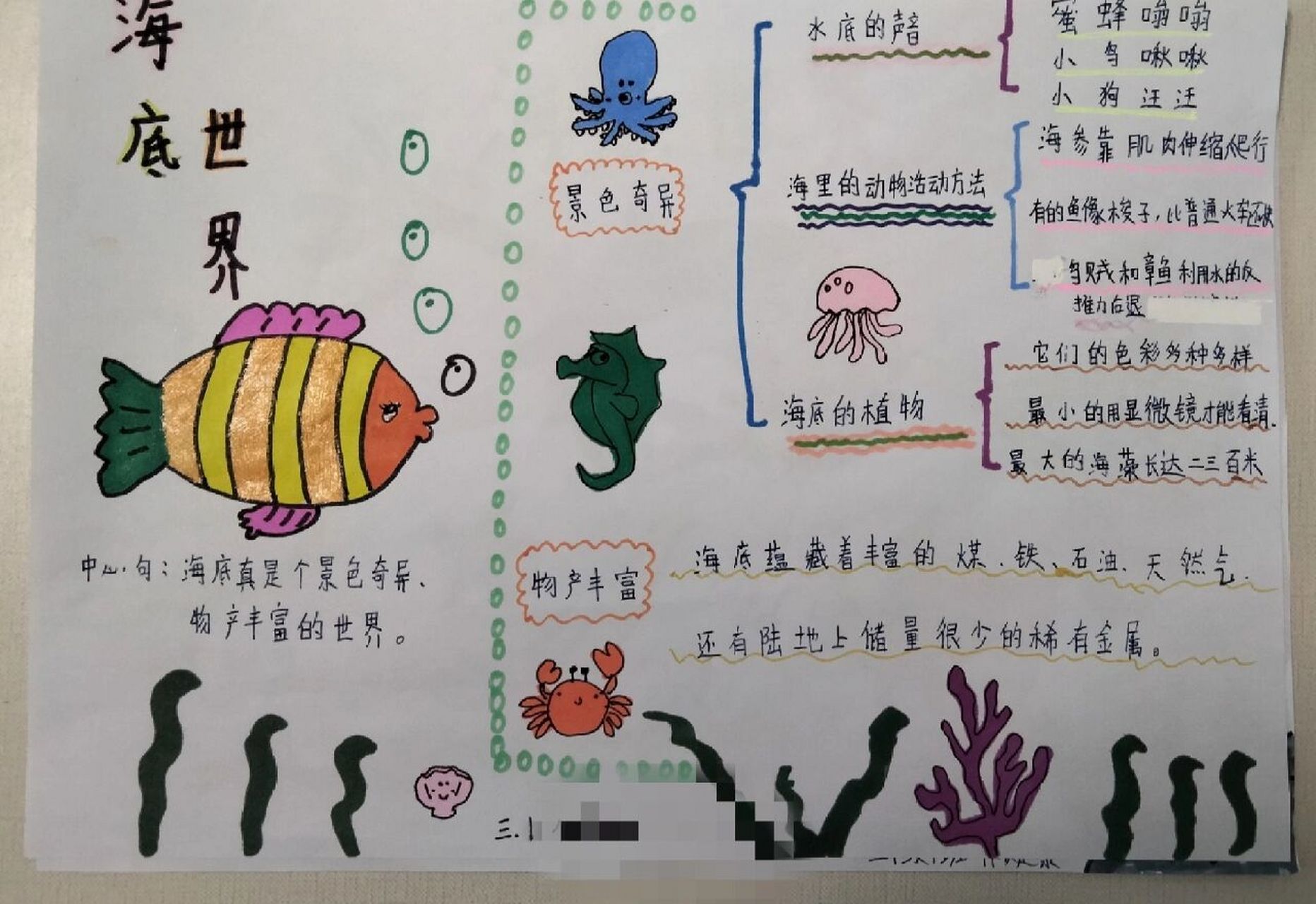 三年级语文下册《海底世界》思维导图 三年级语文下册《海底世界》