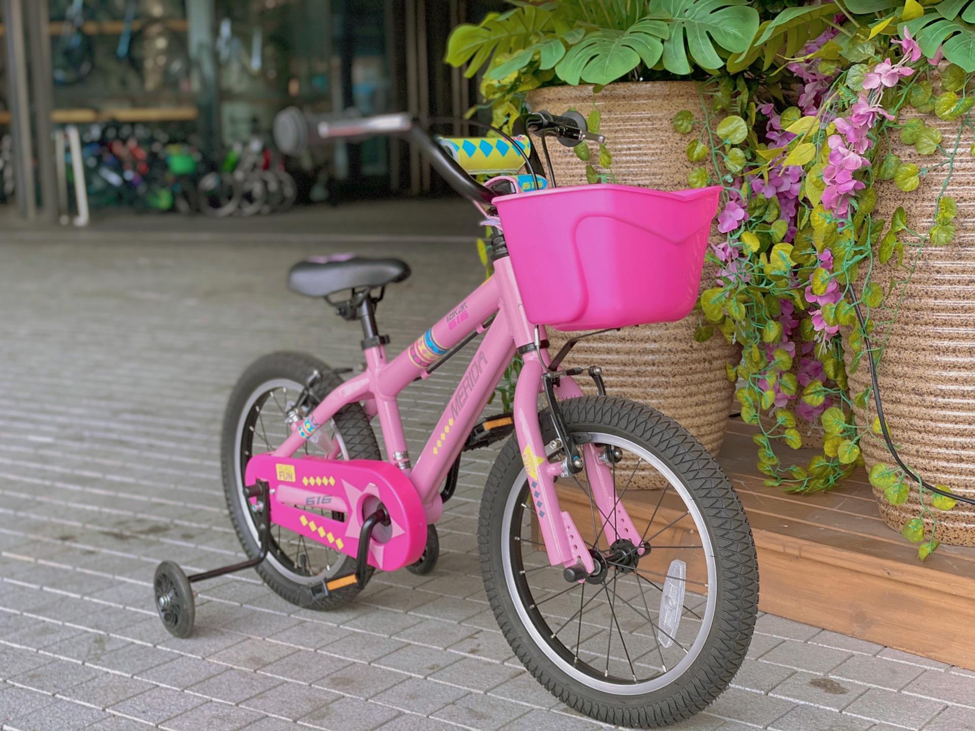 美利达童车达卡616