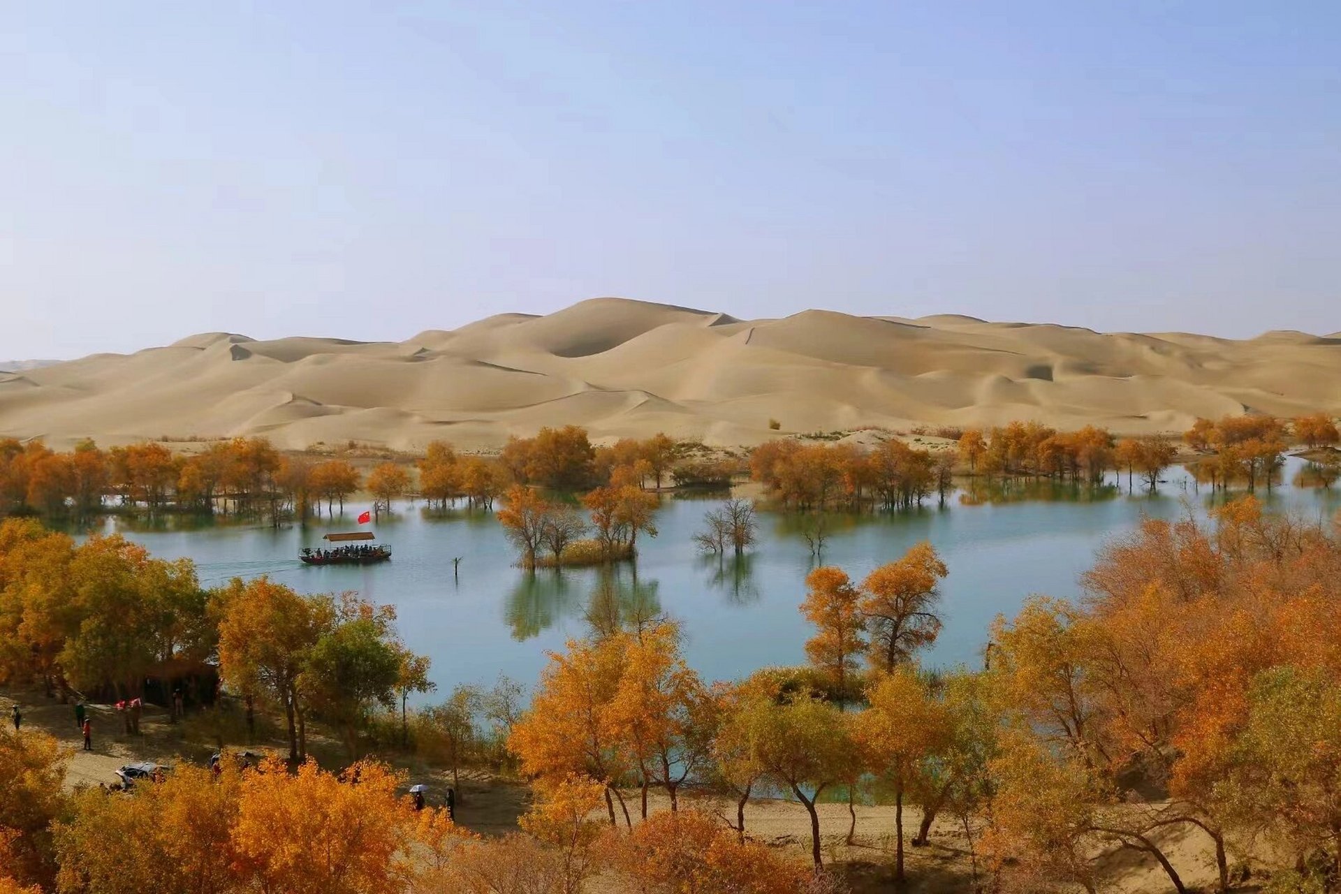 绝美葫芦岛 尉犁葫芦岛的胡杨林太美了.