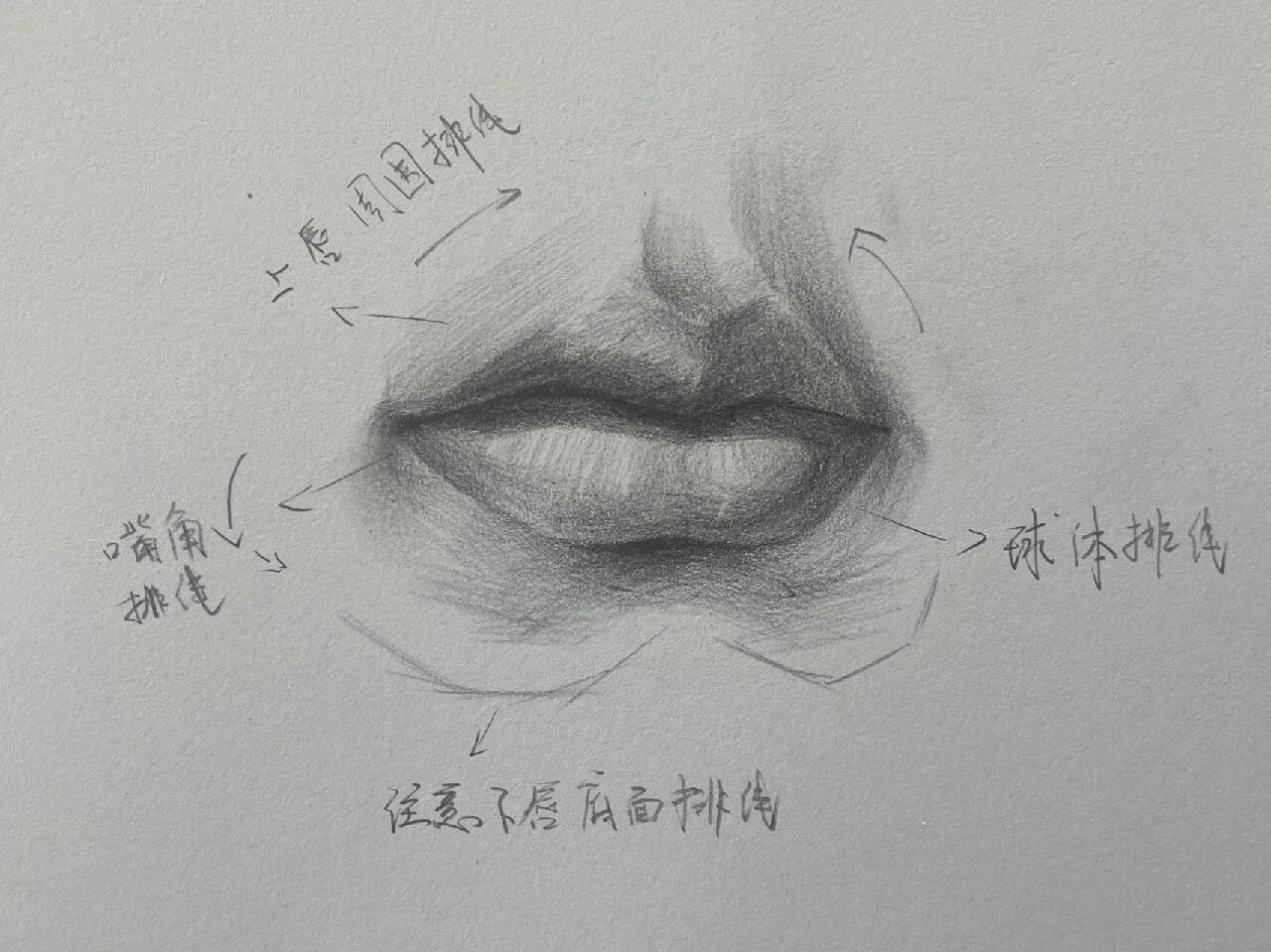 素描嘴巴作画步骤分享 工具  4b