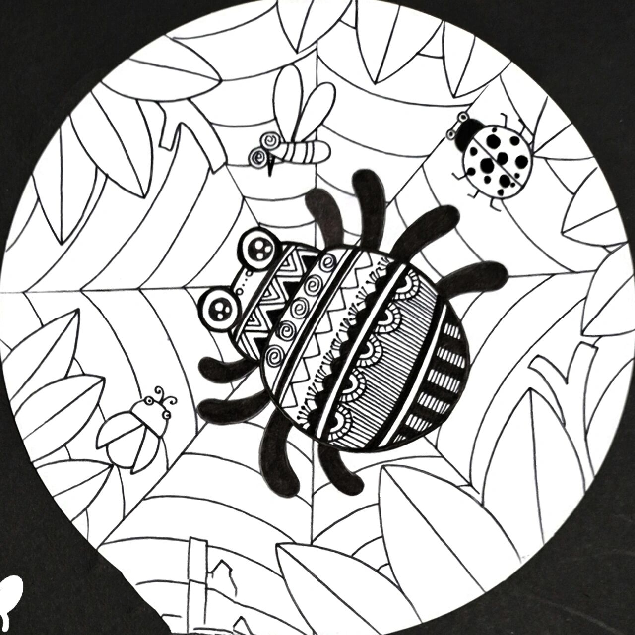 创意线描画96蜘蛛99159015