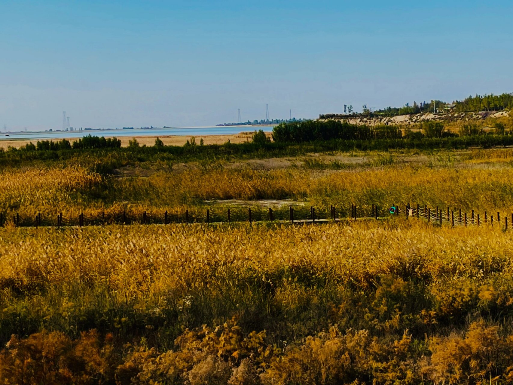 玛纳斯湿地公园 秋天必须要打卡玛纳斯湿地公园,真的非常出片