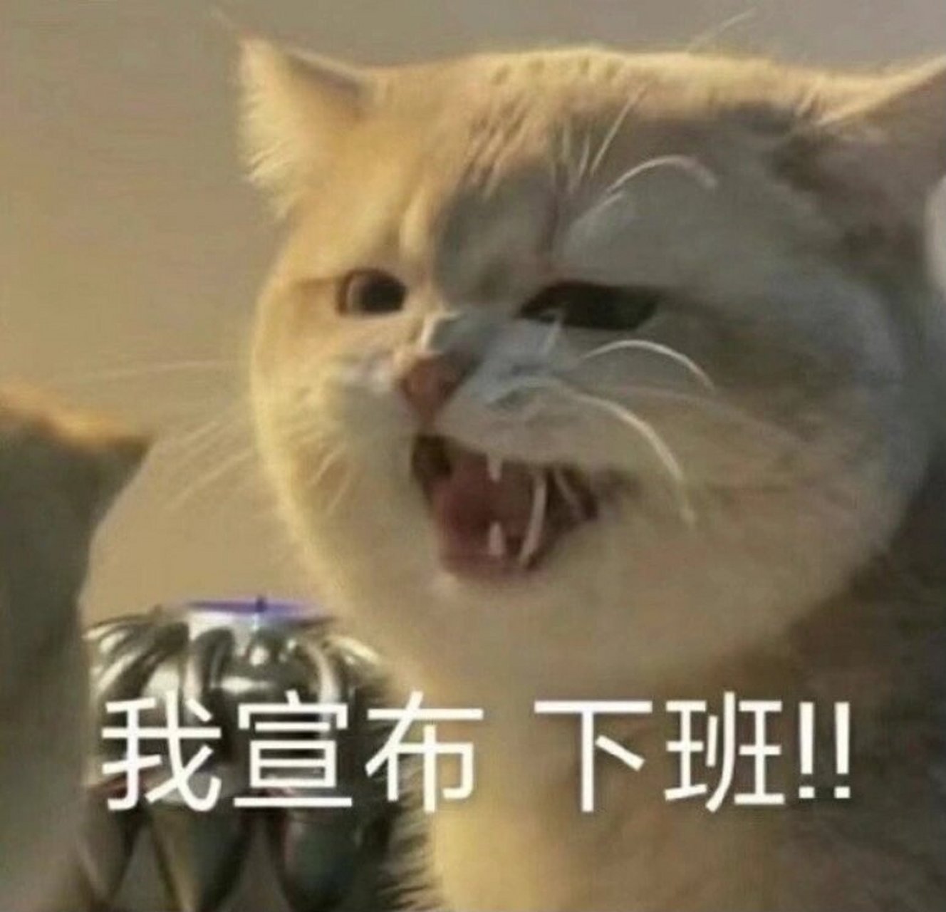 社畜专用表情包 顺便更新下社畜系列 疲惫 心淡如莲了属于是