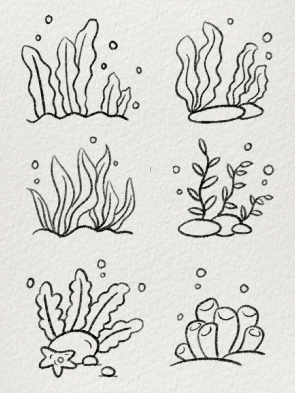 超简单的水草简笔画|90海底也有奇妙世界 想带你去海底万里,去看深