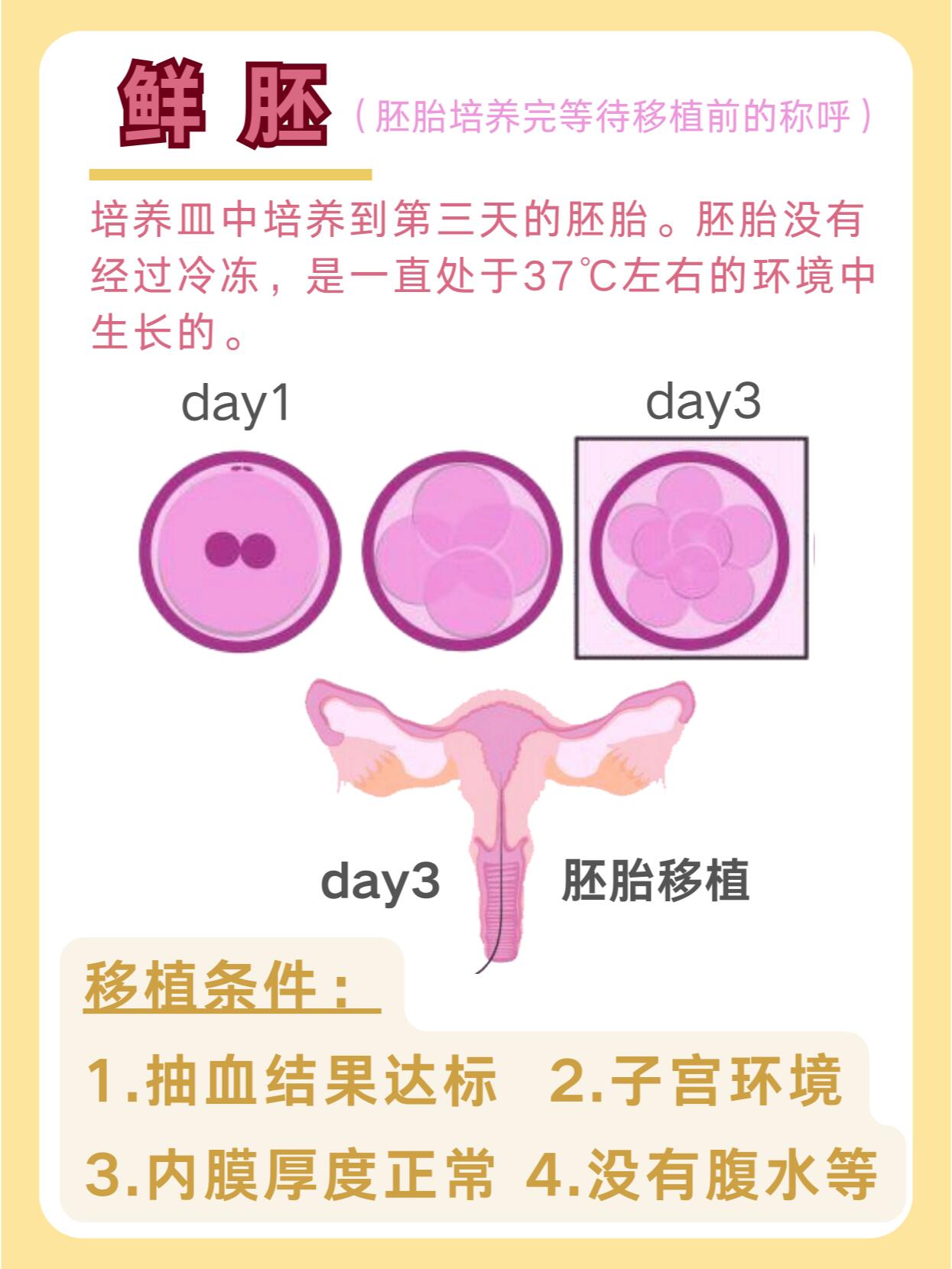 鲜胚,冻胚,囊胚,移植哪个成功率更高63 73鲜胚: 培养皿中培养到第