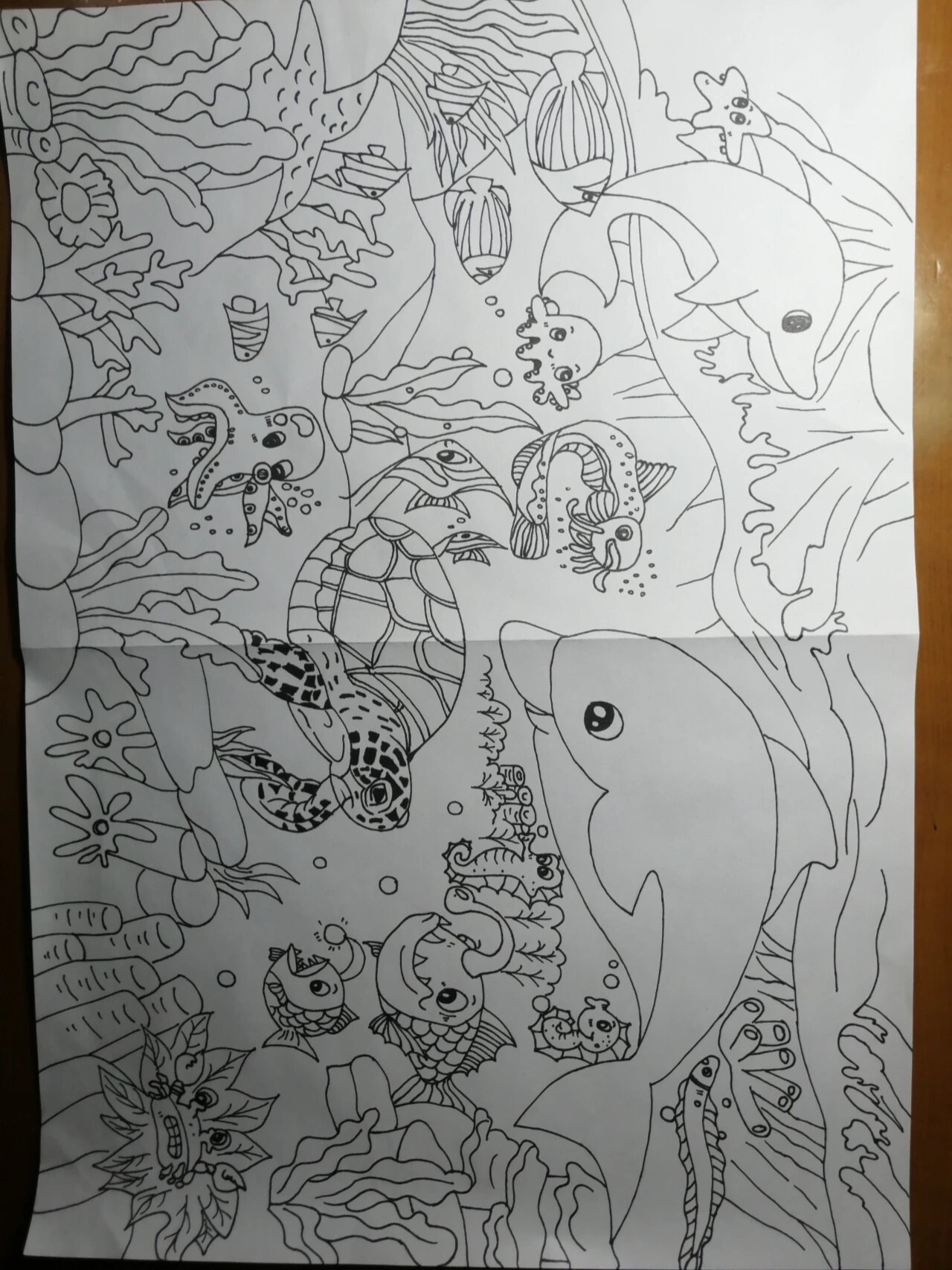 海底总动员主题画