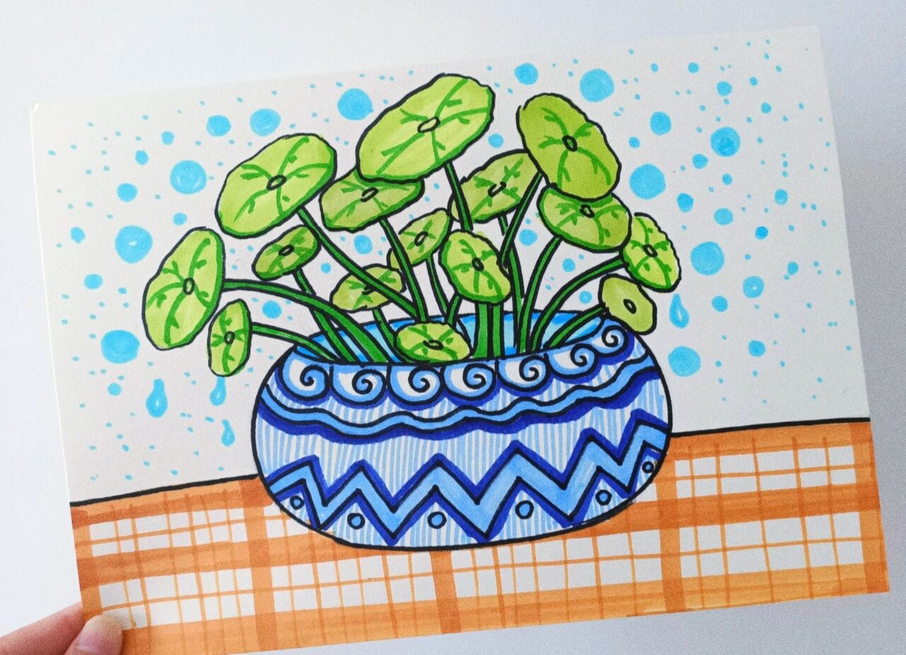 儿童简笔创意卡通画水培植物悠闲的铜钱草 !原创.