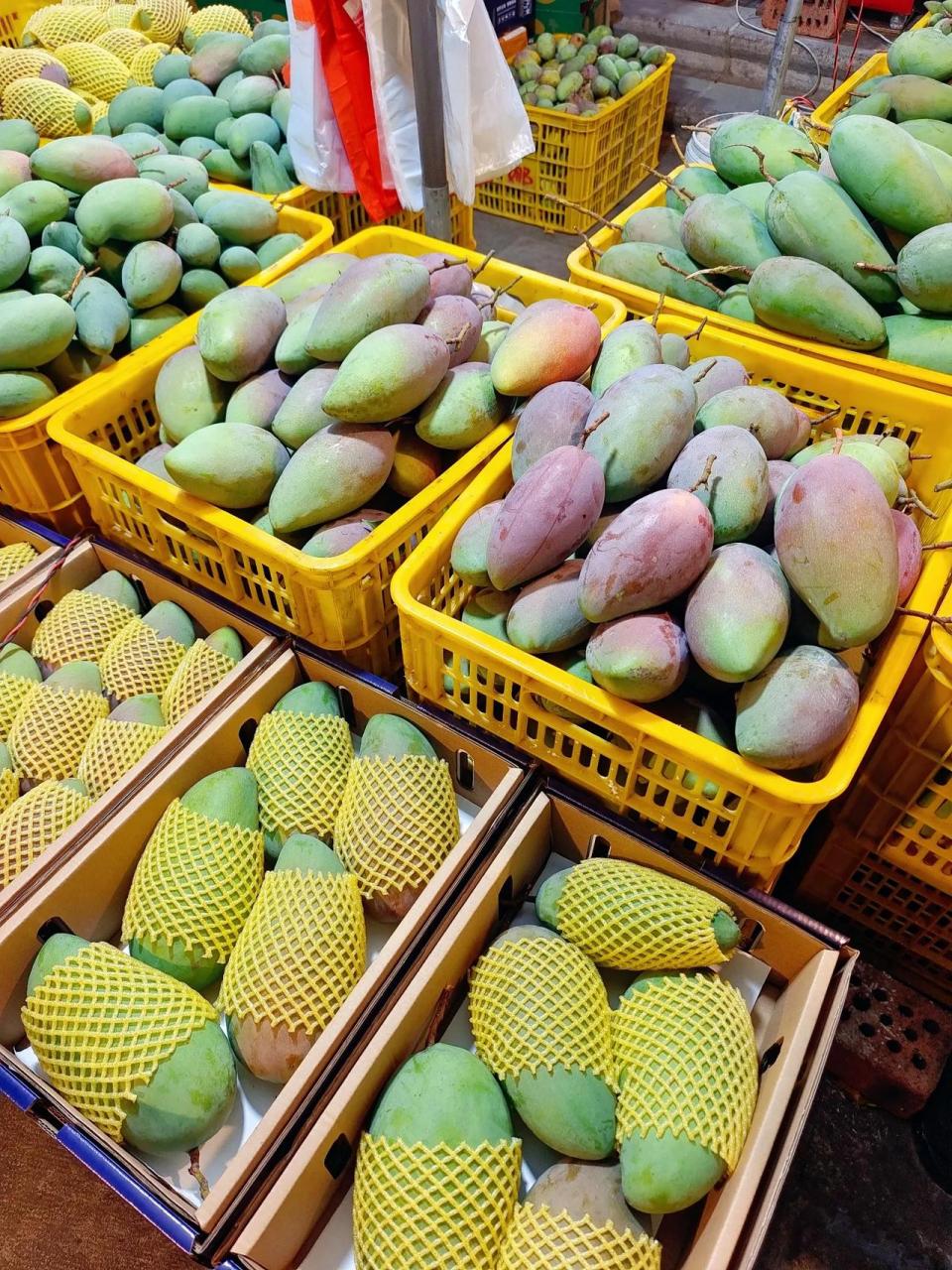 百色田阳的芒果10块钱6斤,比脸还大的芒果也38块钱10斤还包邮,四舍五