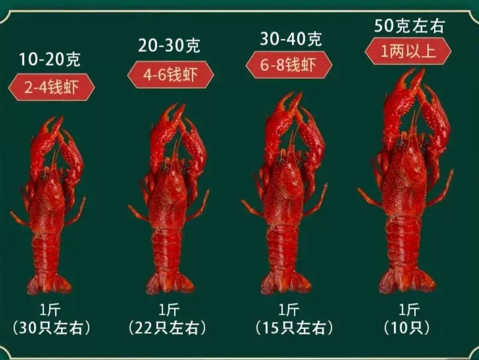 小龙虾的级别识别