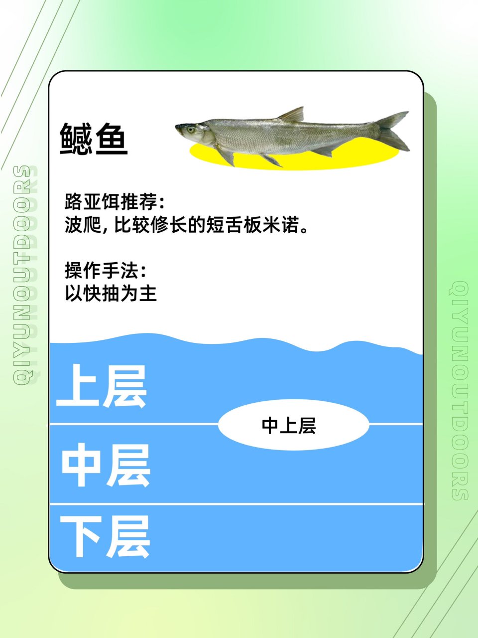 路亚淡水鱼水层分布,及做钓手法(下) 939969♀15接上集,继续