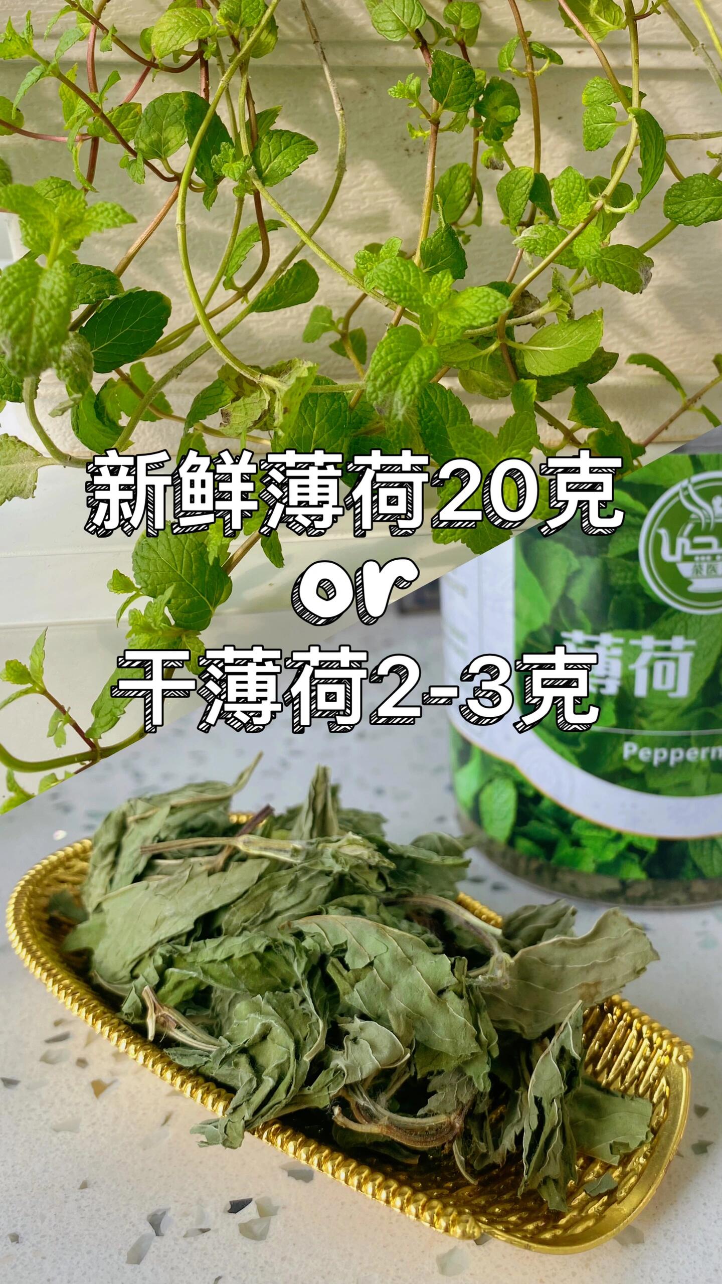 新疆饭店里超好喝的薄荷茶