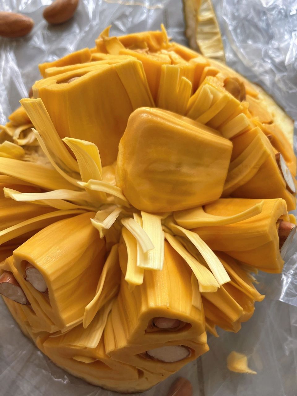 9买了16斤重的越南红心菠萝蜜 接上文 ,人品大爆发,买到的菠萝蜜开了