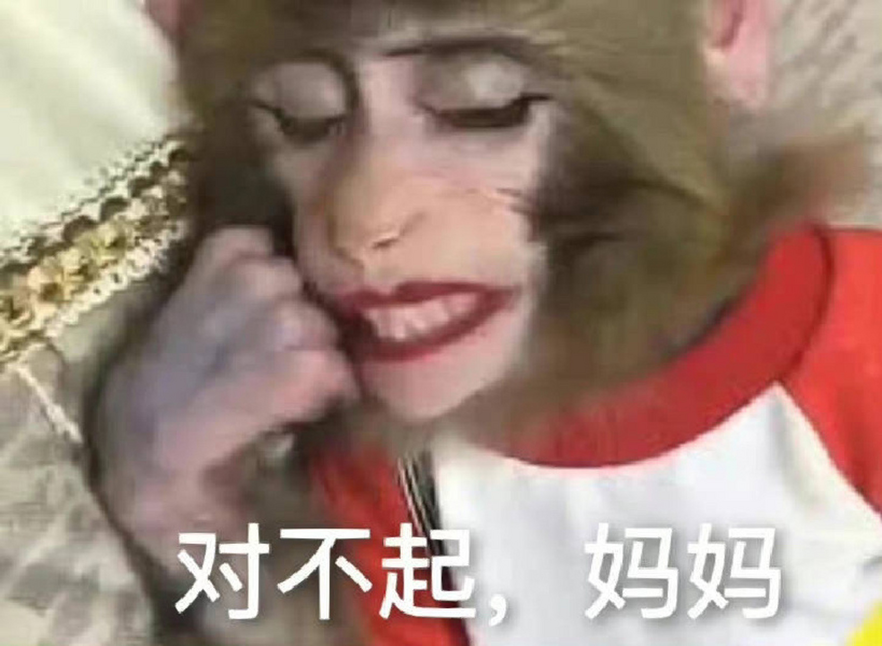 猴子听了也 有没有这种可爱猴猴的表情包啊!