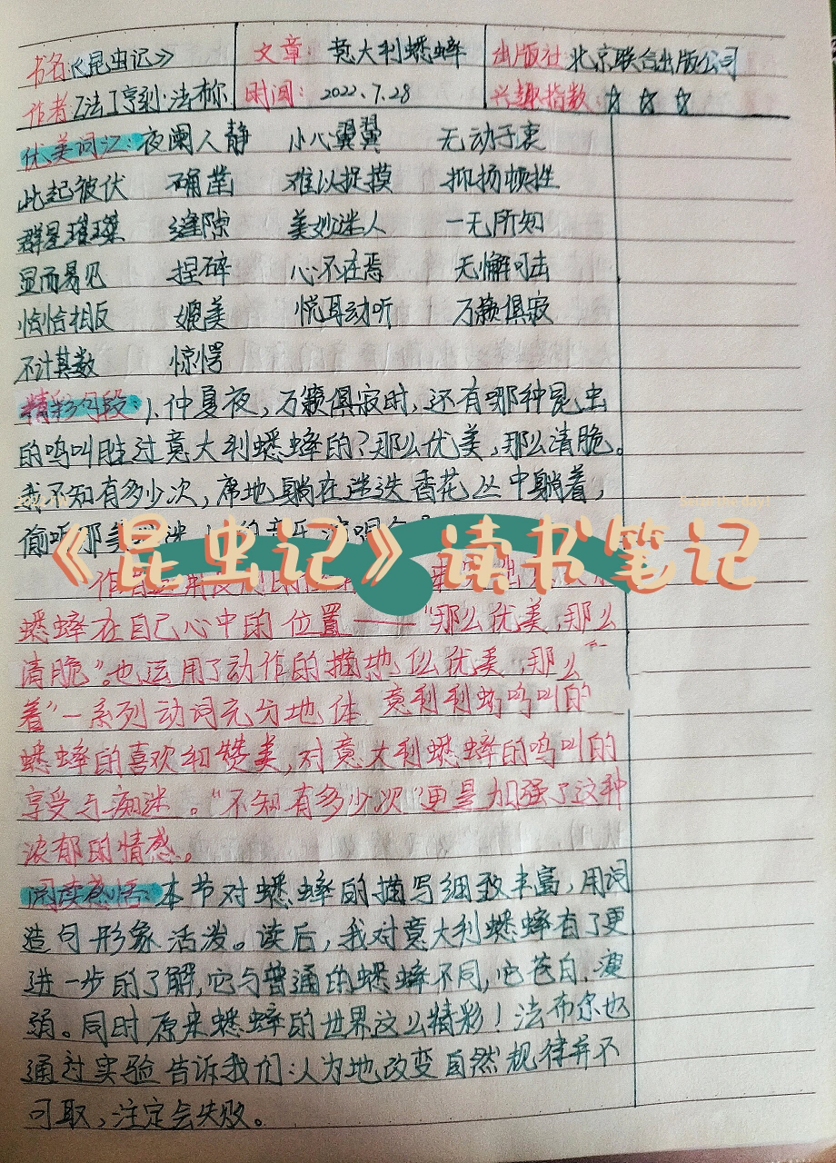 《昆虫记》15.意大利蟋蟀