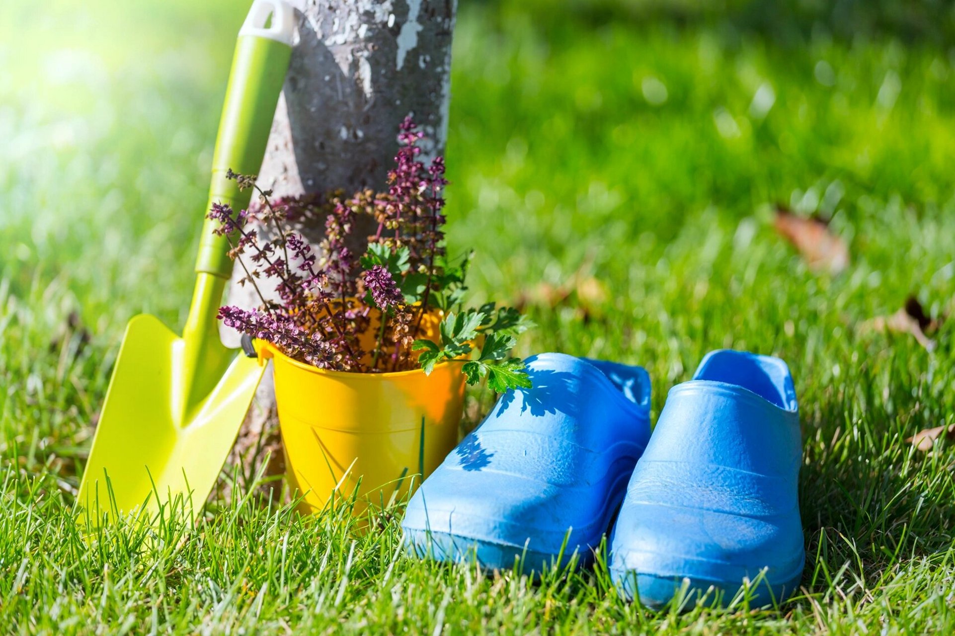 春天,草地像一床绿茵茵的地毯 春天,草地像一床绿茵茵的地毯.