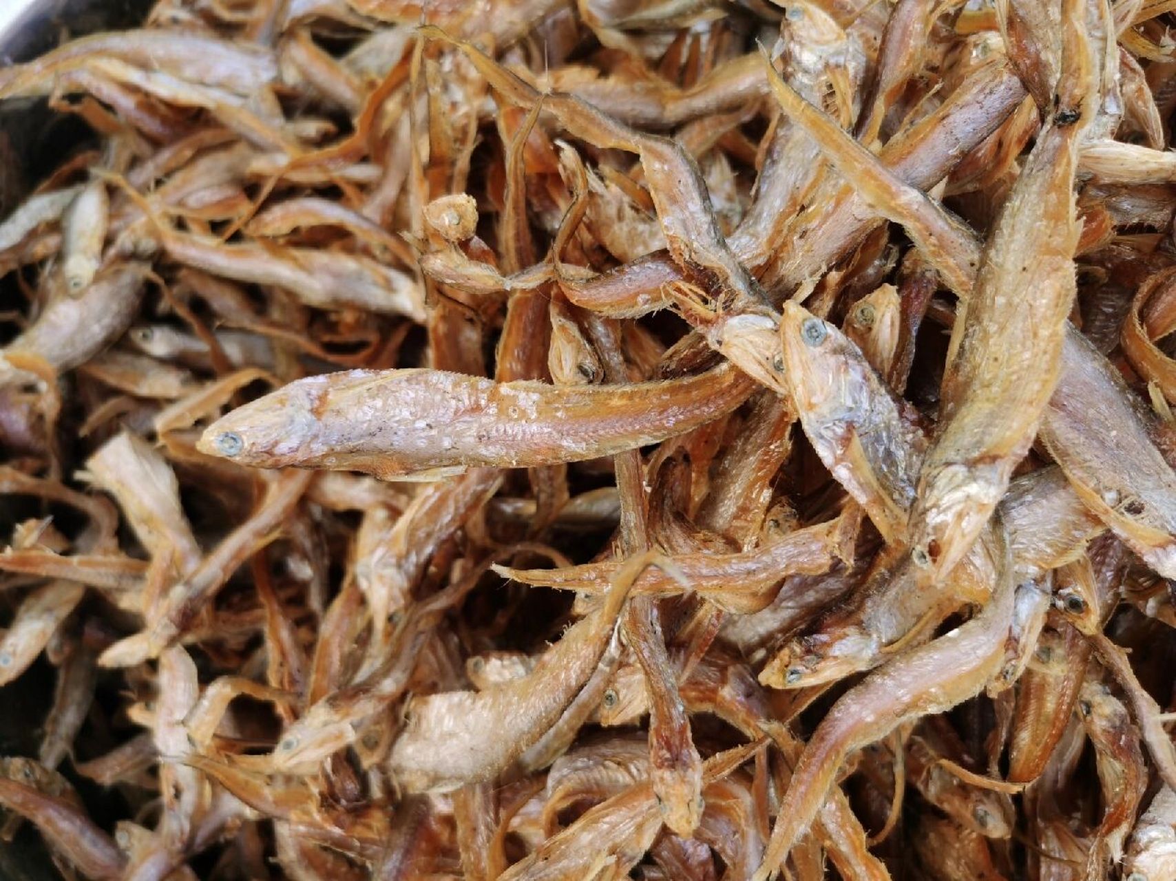 淡水鱼 | 湖鲚(毛刀鱼) 微山湖边