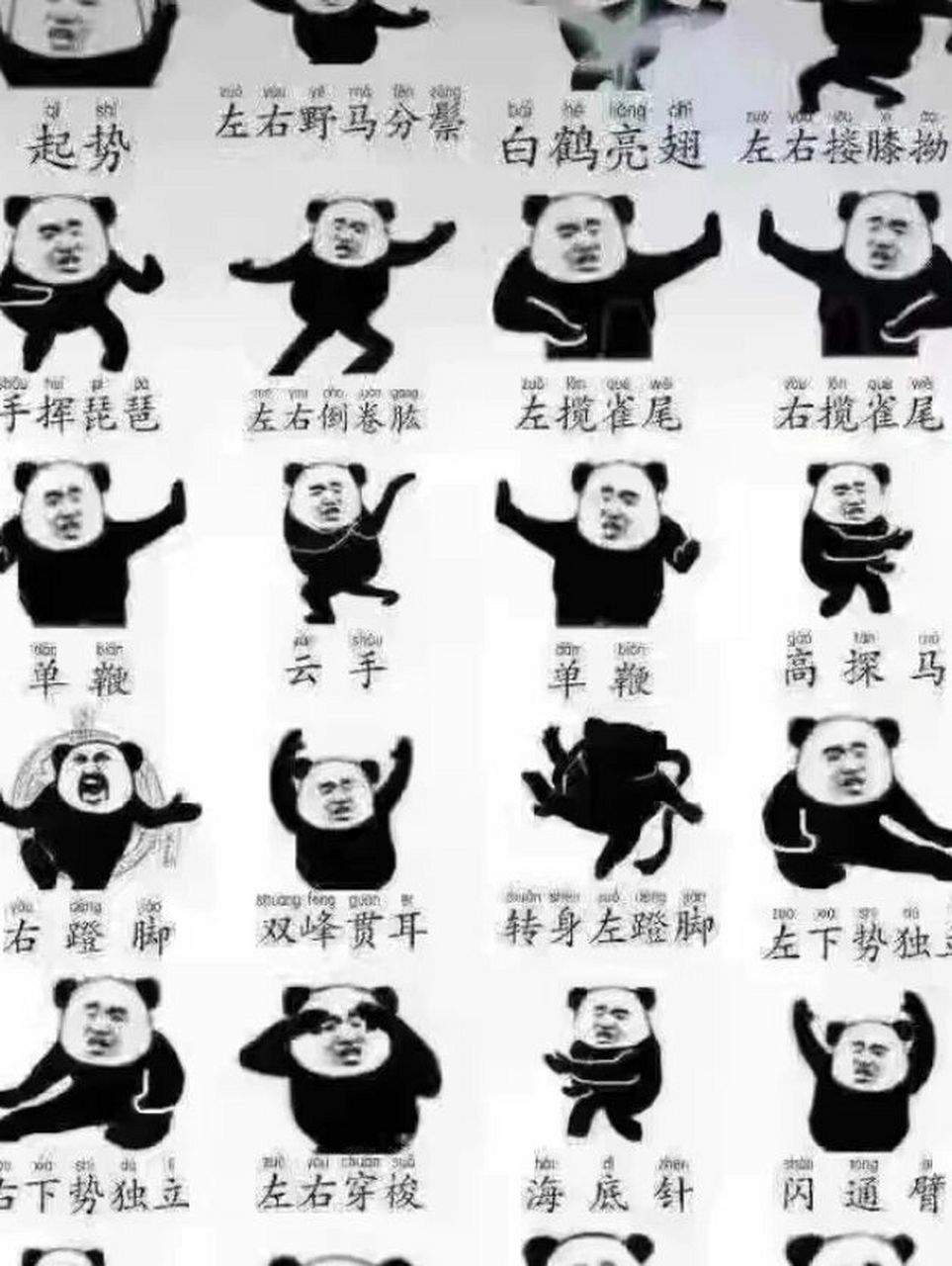 大学生24式太极拳 我是真的会谢耶 每周一体育课打一拳 下周还要考(自