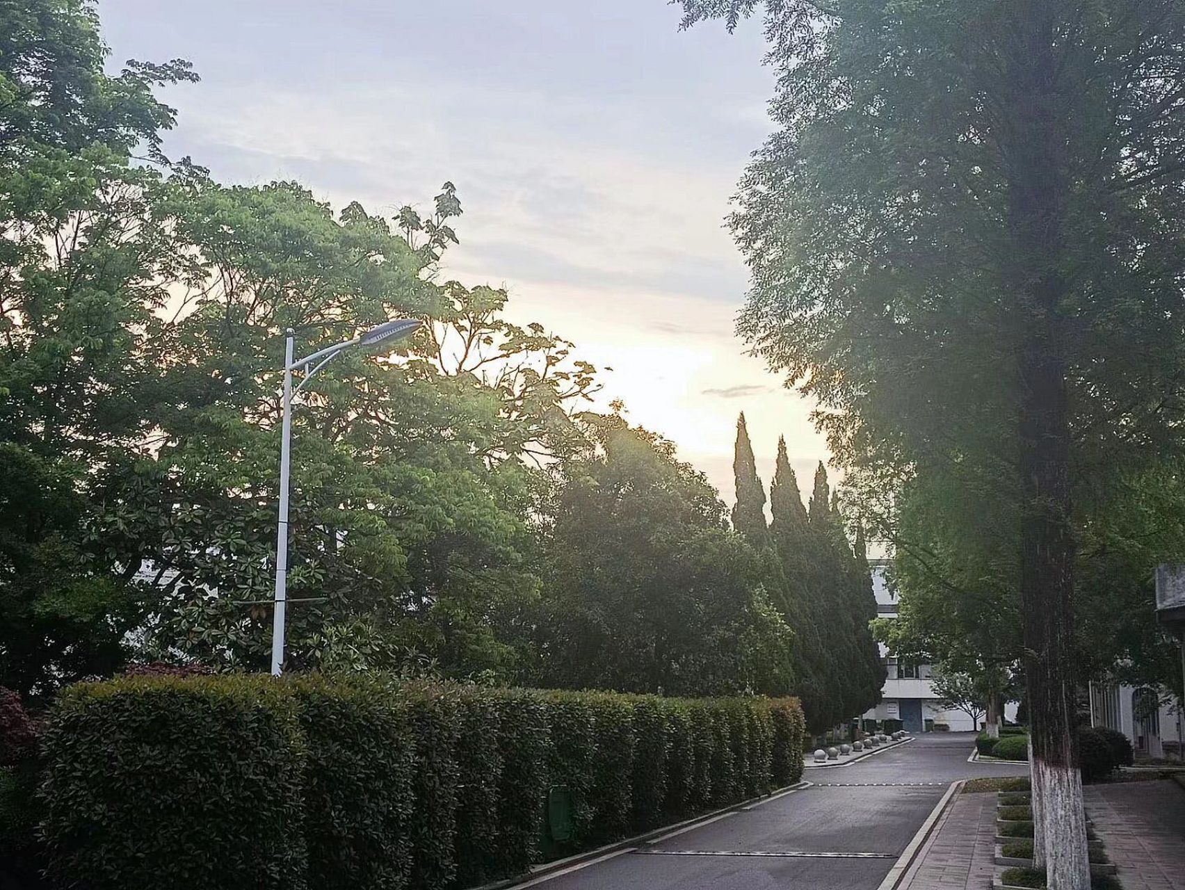 在安徽林业职业技术学院就读体验 我是2021级的一名学生就读于林业