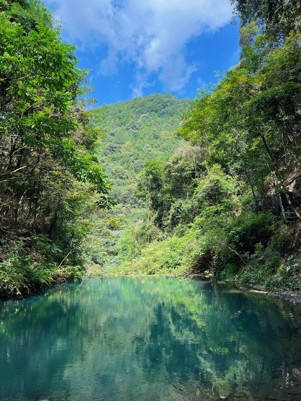 在永春  牛姆林 景区保留了原有完好的原始森林群体,有满山放养的猴子