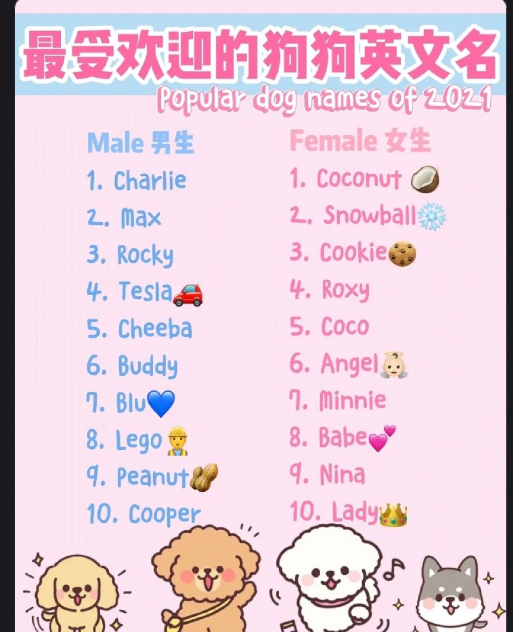 最受欢迎的狗狗英文名 ,宝子们快来抢个沙发吧!