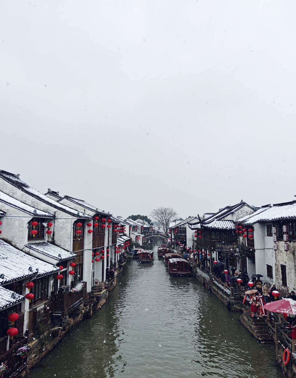 一下雪苏州就成了姑苏,江南水乡的雪景绝了 97今天好多人都被苏州的