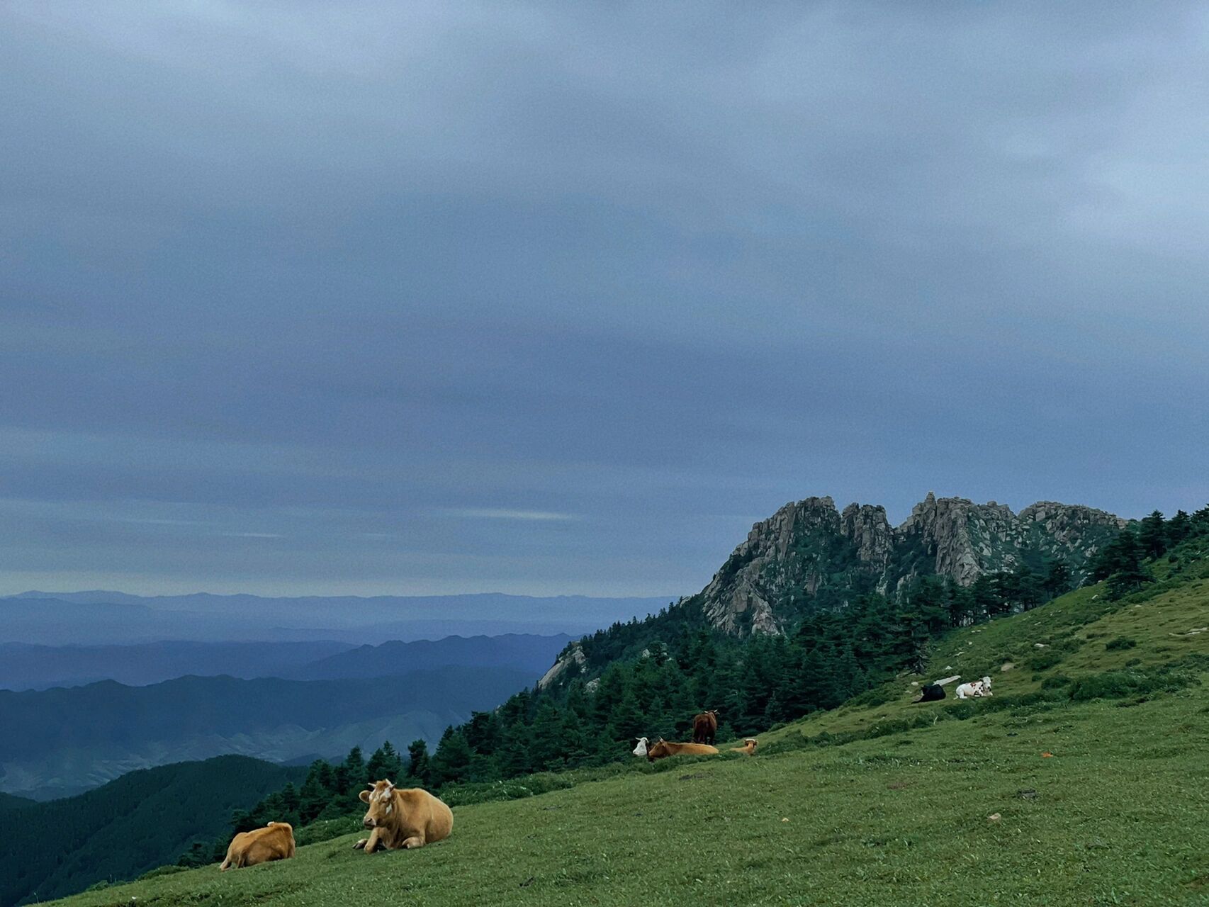 忻州自驾芦芽山|马仑草原 99推荐马仑草原芦芽山77悬空村99