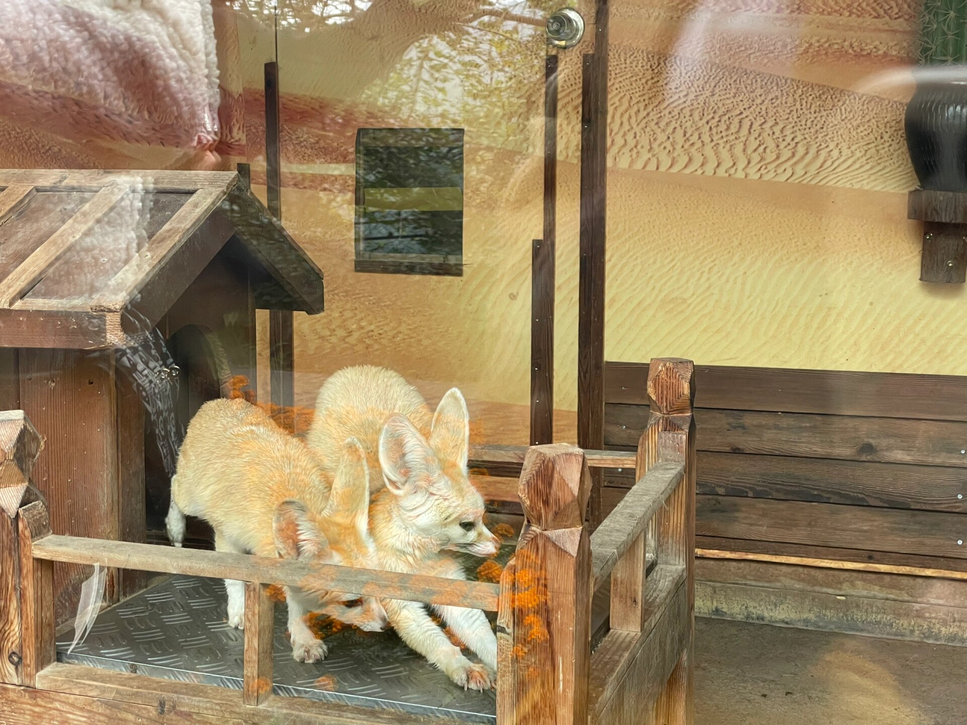 重庆周边游之—永川野生动物园