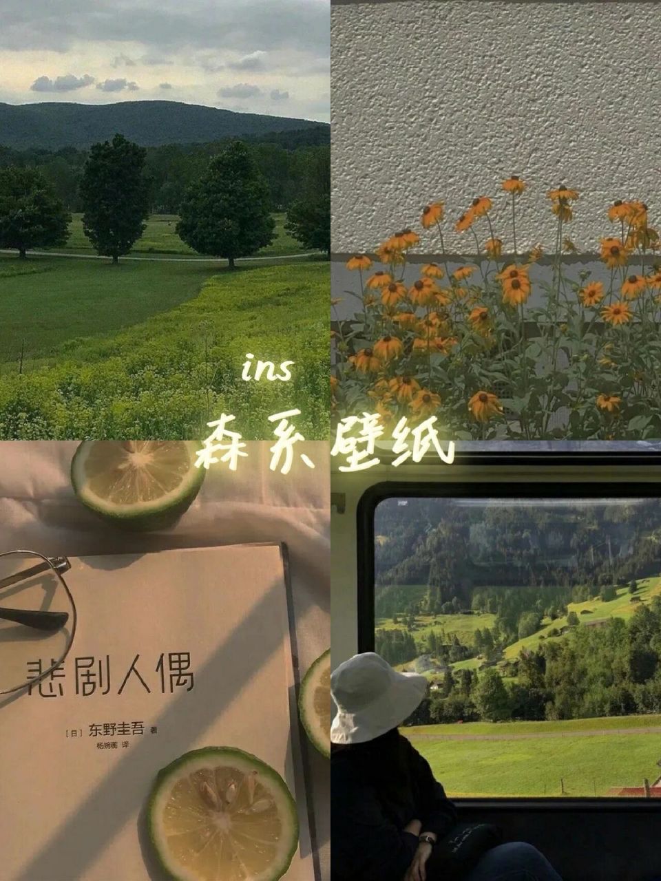 wechat.森系壁纸/你是好心情的开关91 & 摄影是写给时光的情书&