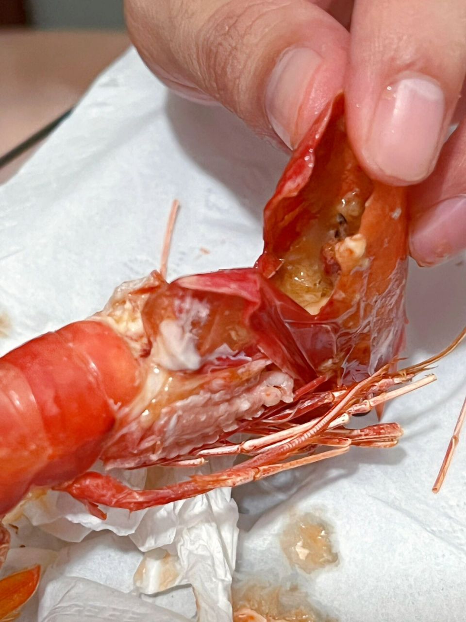 红魔虾的虾脑谨慎尝试90 天天刷吃播,终于控制不住好奇心下手了,虾