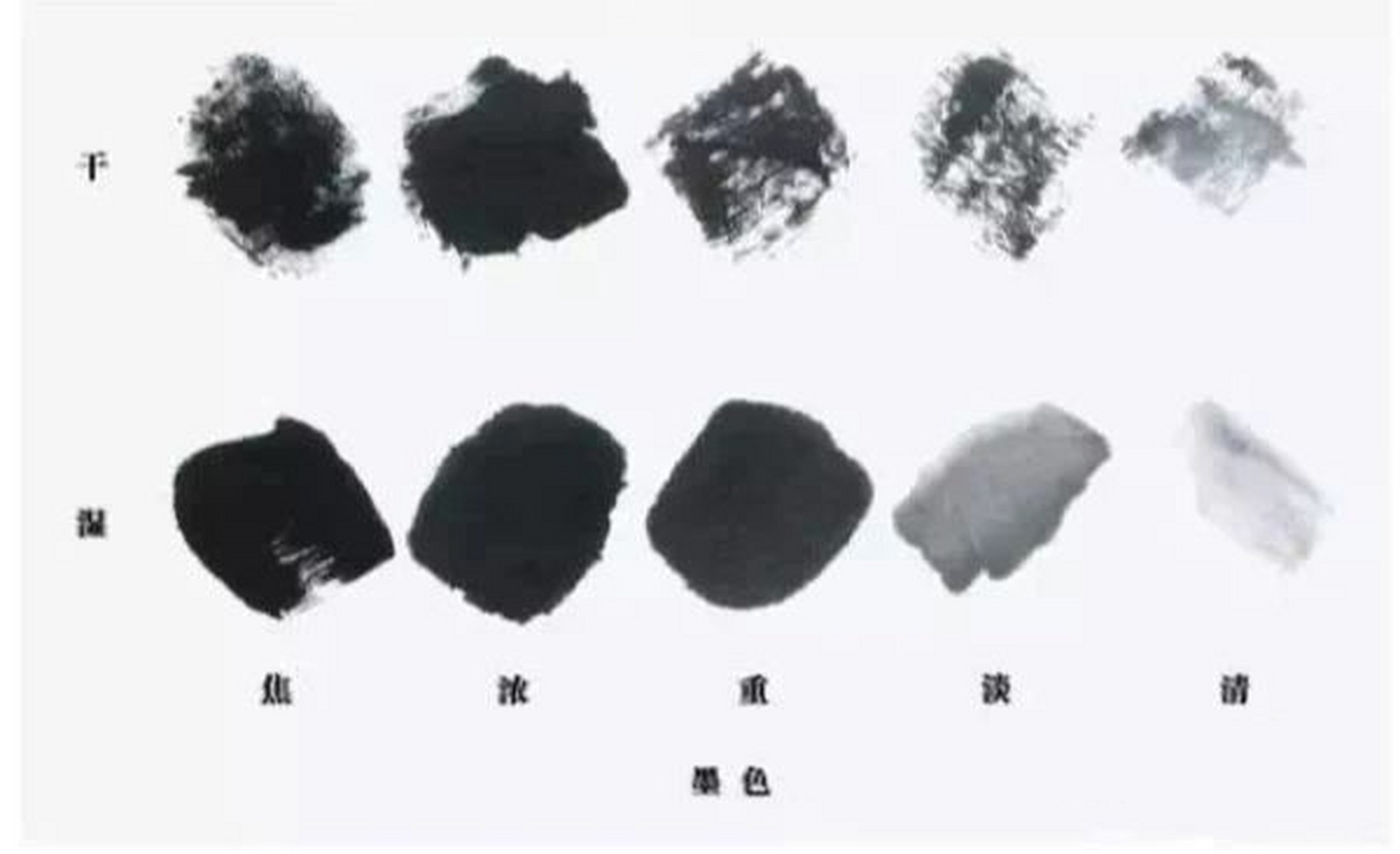 国画的用墨 一,墨分五色: 根据墨与水比例的不同,可将其分为五色,即焦
